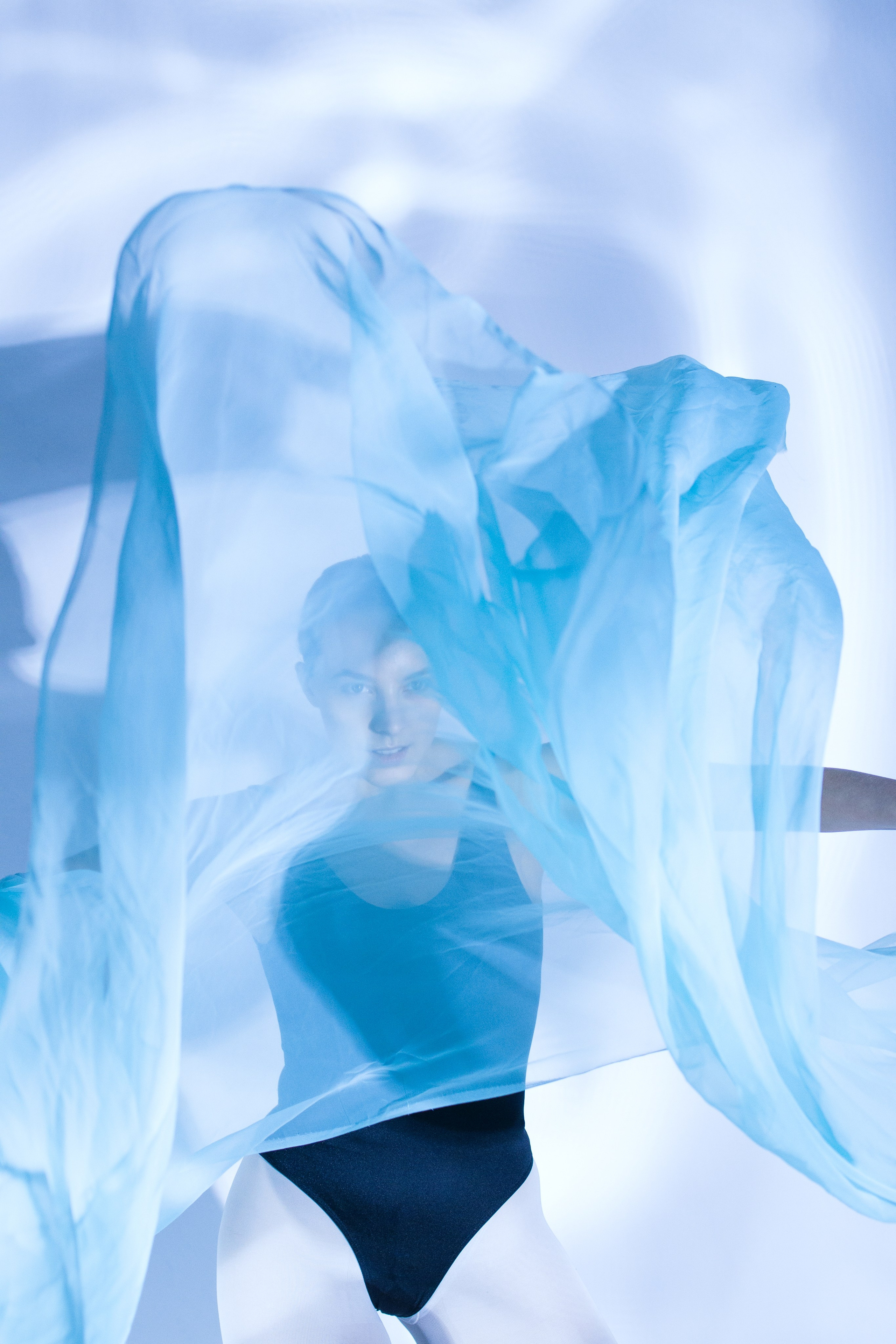 Лилия. Художественная фотография