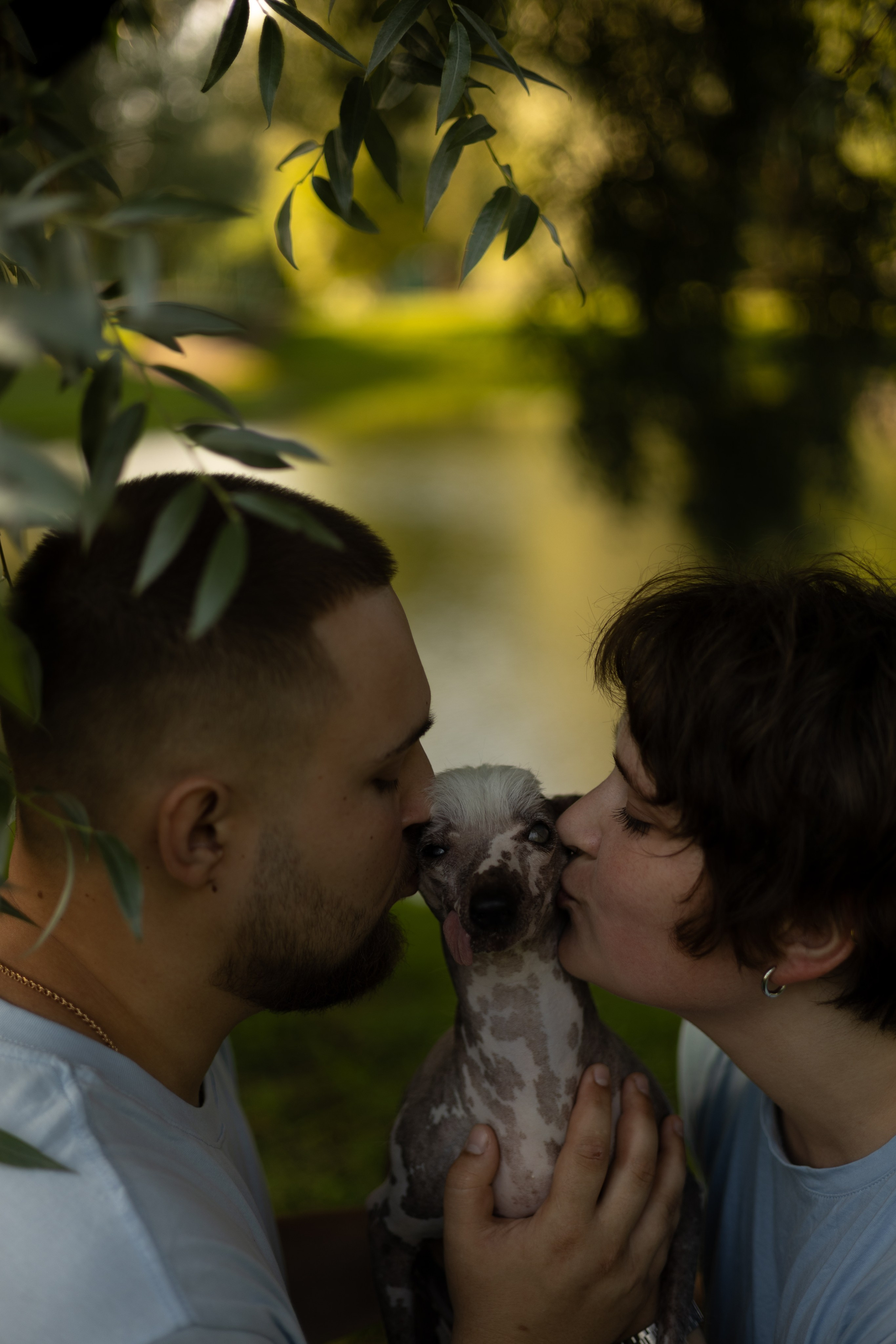 Даша, Рома и Гоша. Фотограф животных Евгения Верцинская