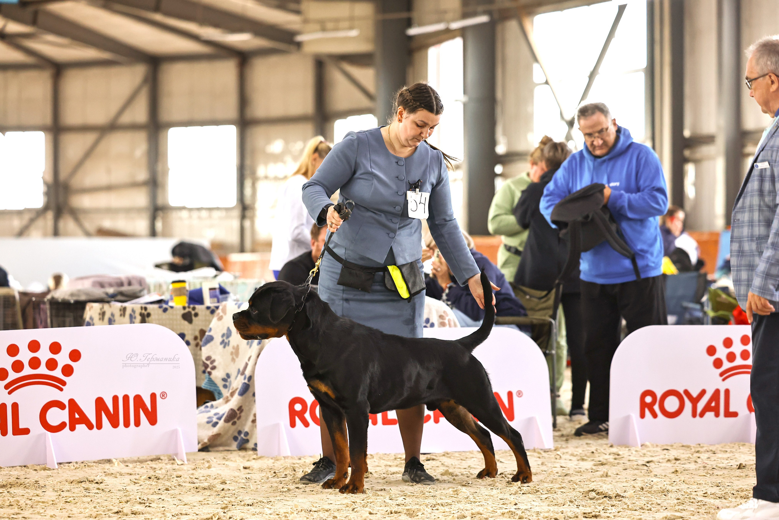 Астана 2хCACIB 26-28.09.2025. Фотограф-анималист Юлия Германика