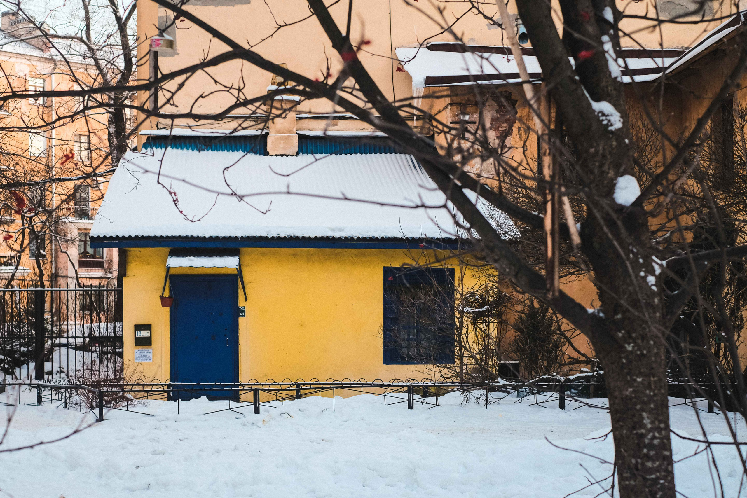 2021.12. Фотограф Алексей Алексеев