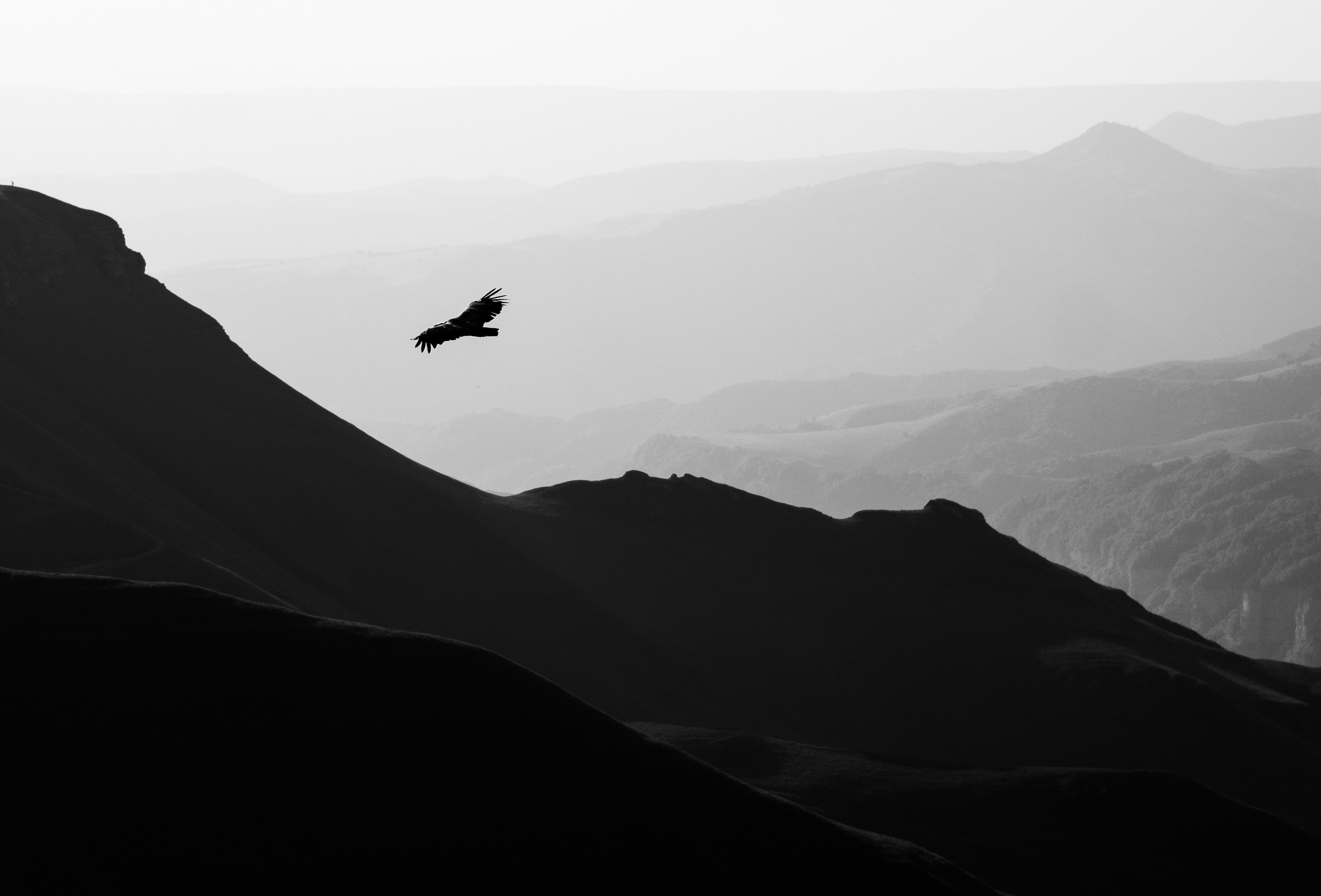 Репортажный и портетный фотограф в Краснодарском крае Николай Хижняк