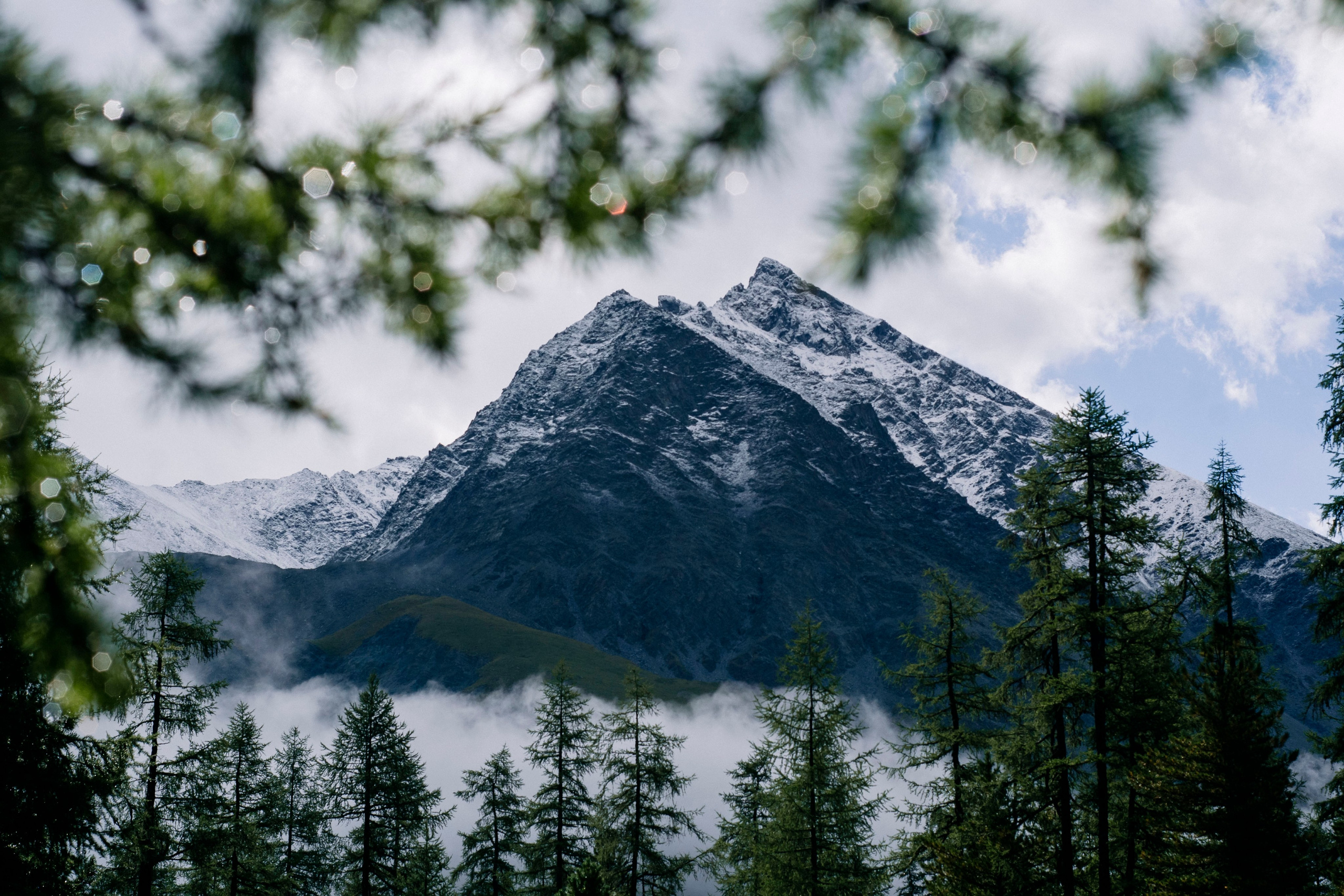 Altai landscape. Iraogo