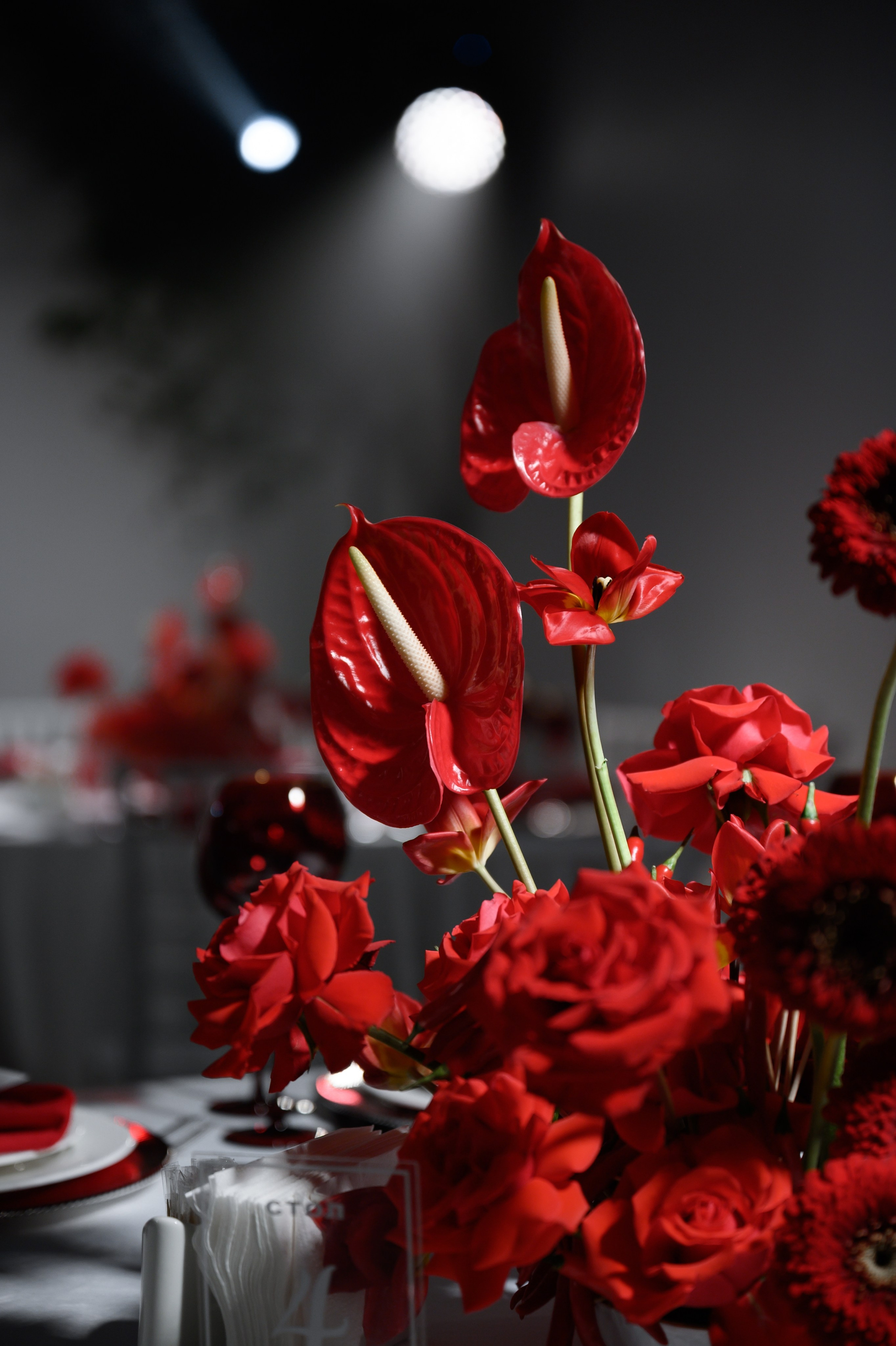 12.11.2024. RETOUCH-HOUSE