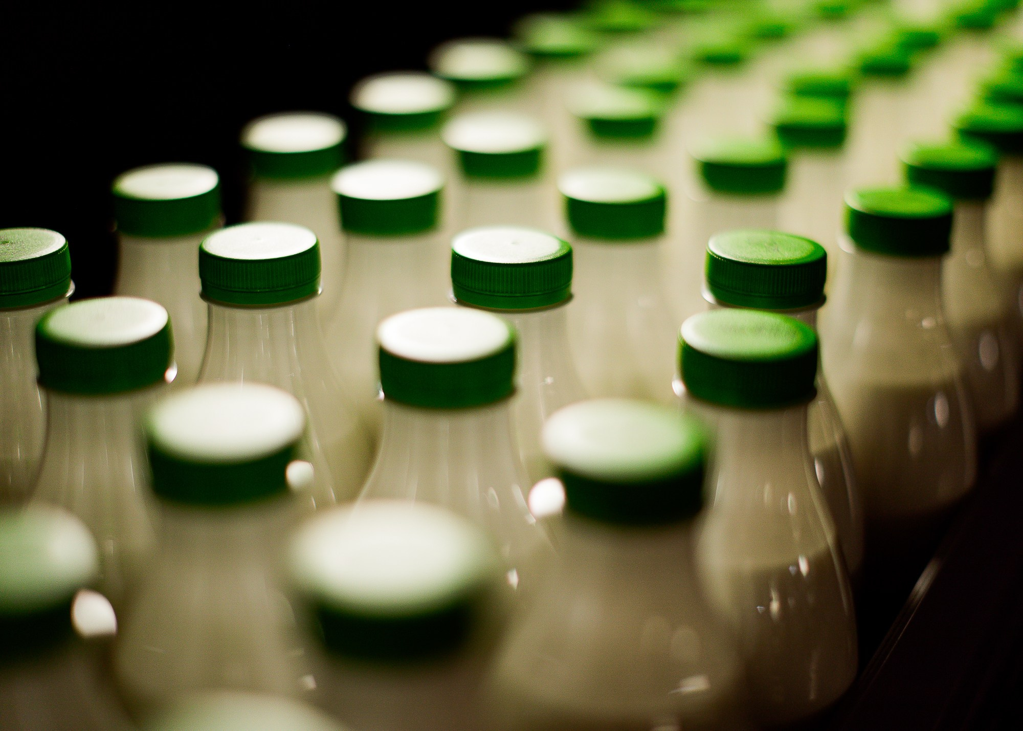 ЭкоНива — производитель молока № 1 в России