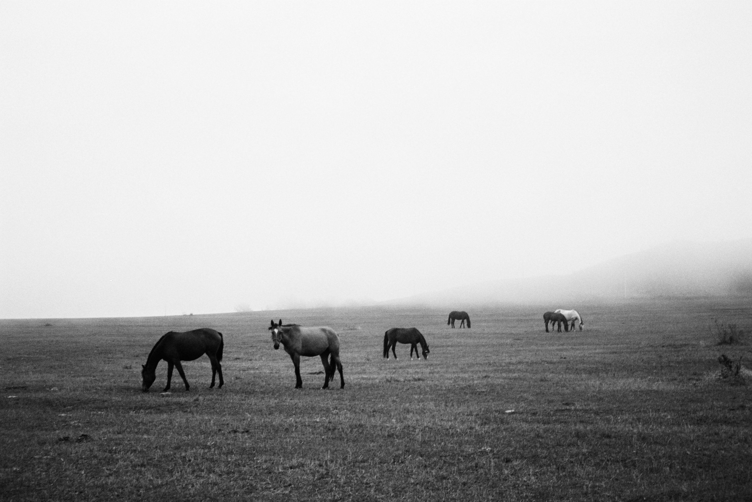 Photo. Оператор-постановщик рекламы и музыкальных клипов