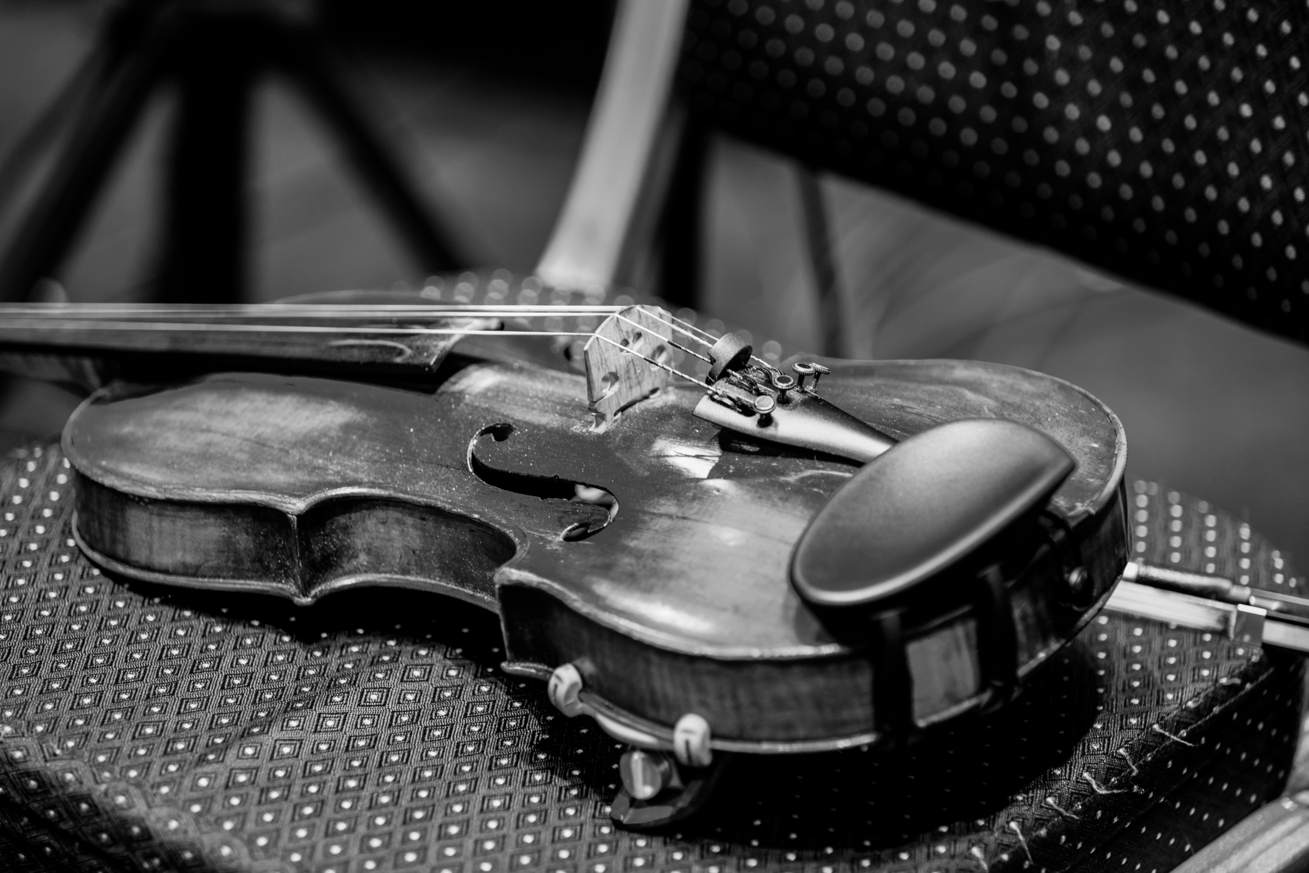 Бэки Глеб Самойлов и The Matrixx. Фотограф Сонкина Татьяна