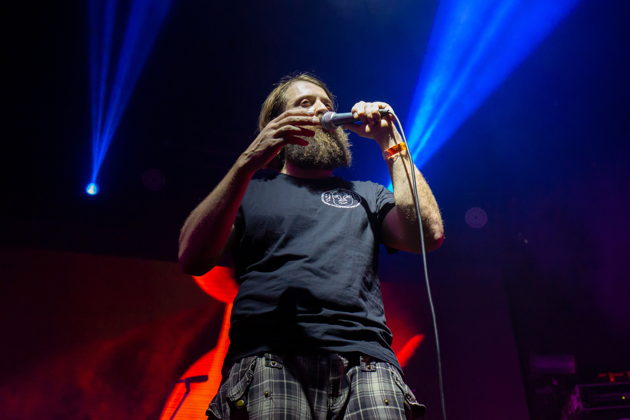 План Ломоносова. Фотограф Сонкина Татьяна