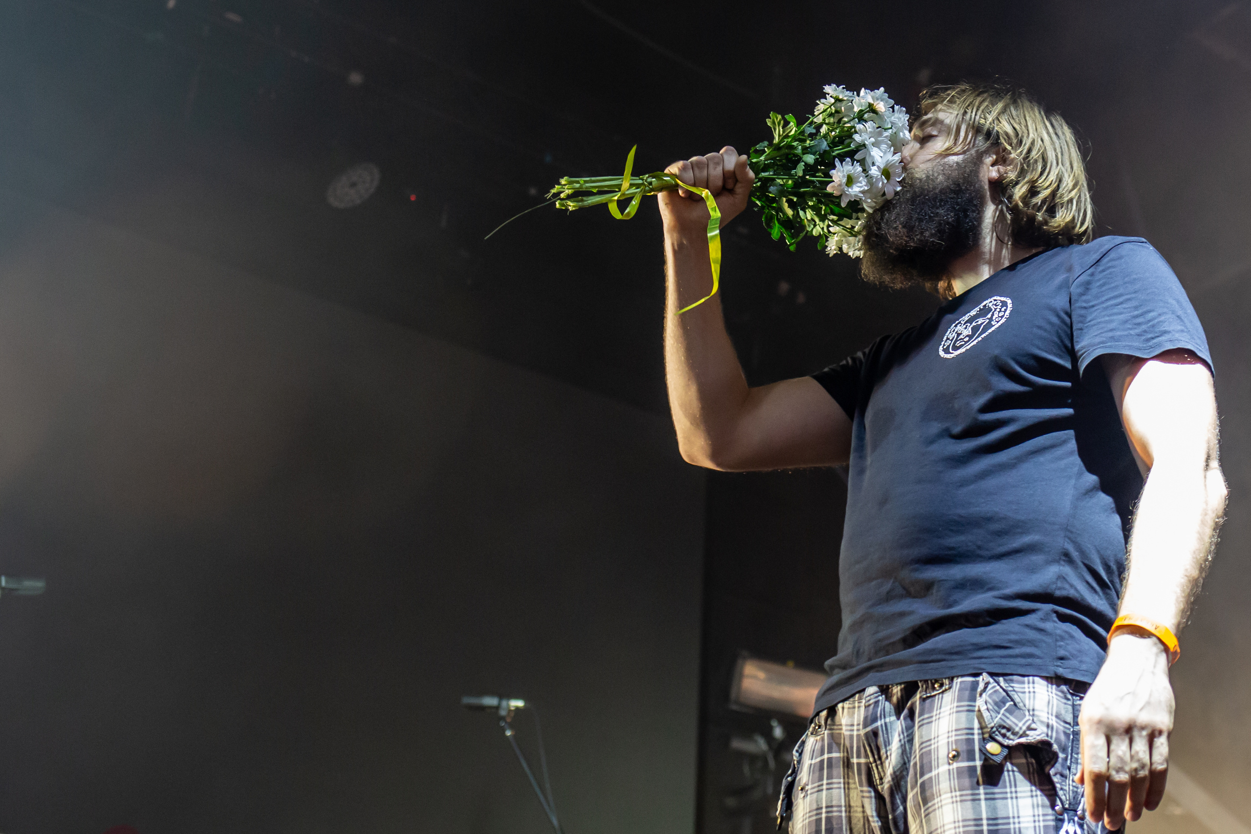 План Ломоносова. Фотограф Сонкина Татьяна