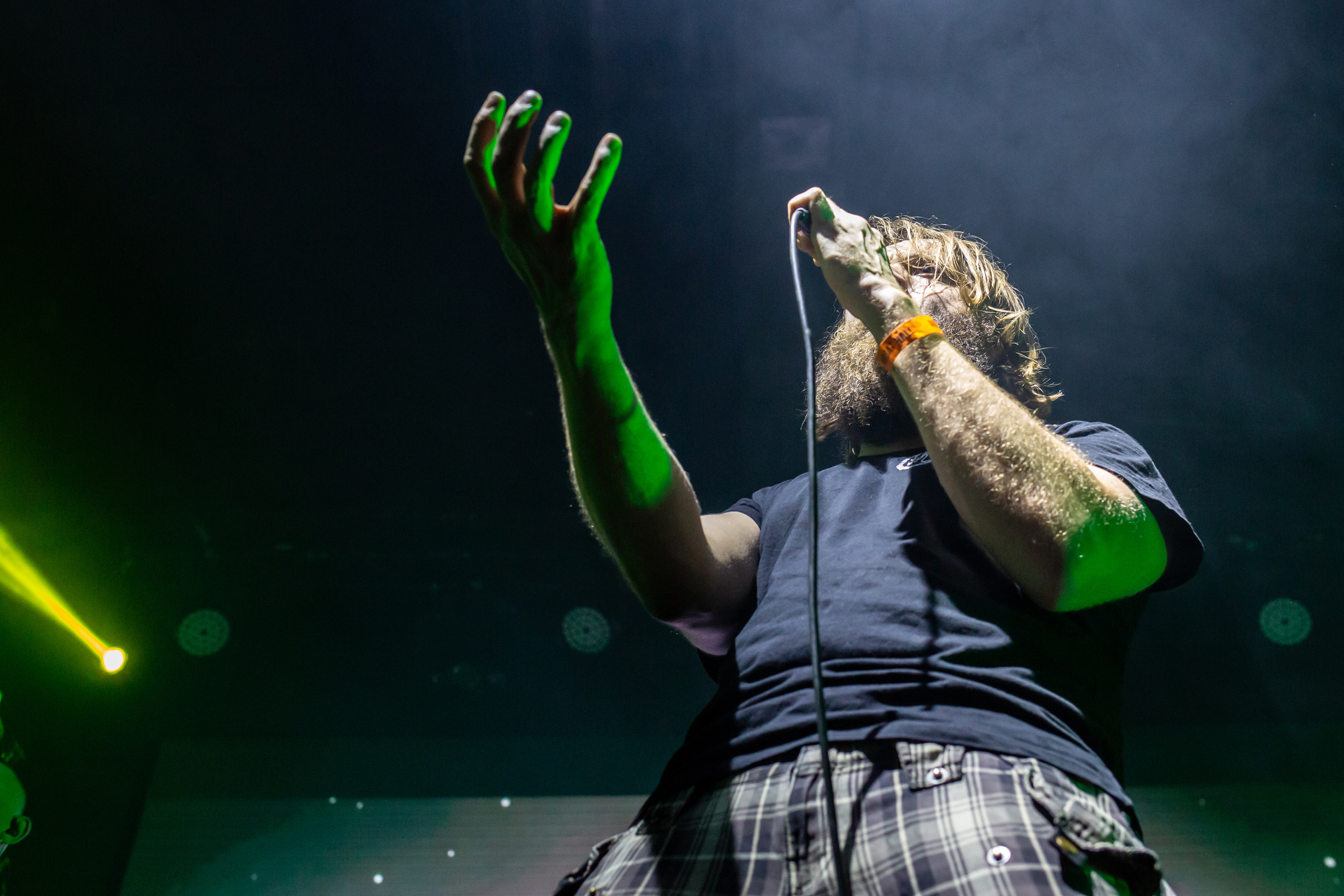 План Ломоносова. Фотограф Сонкина Татьяна