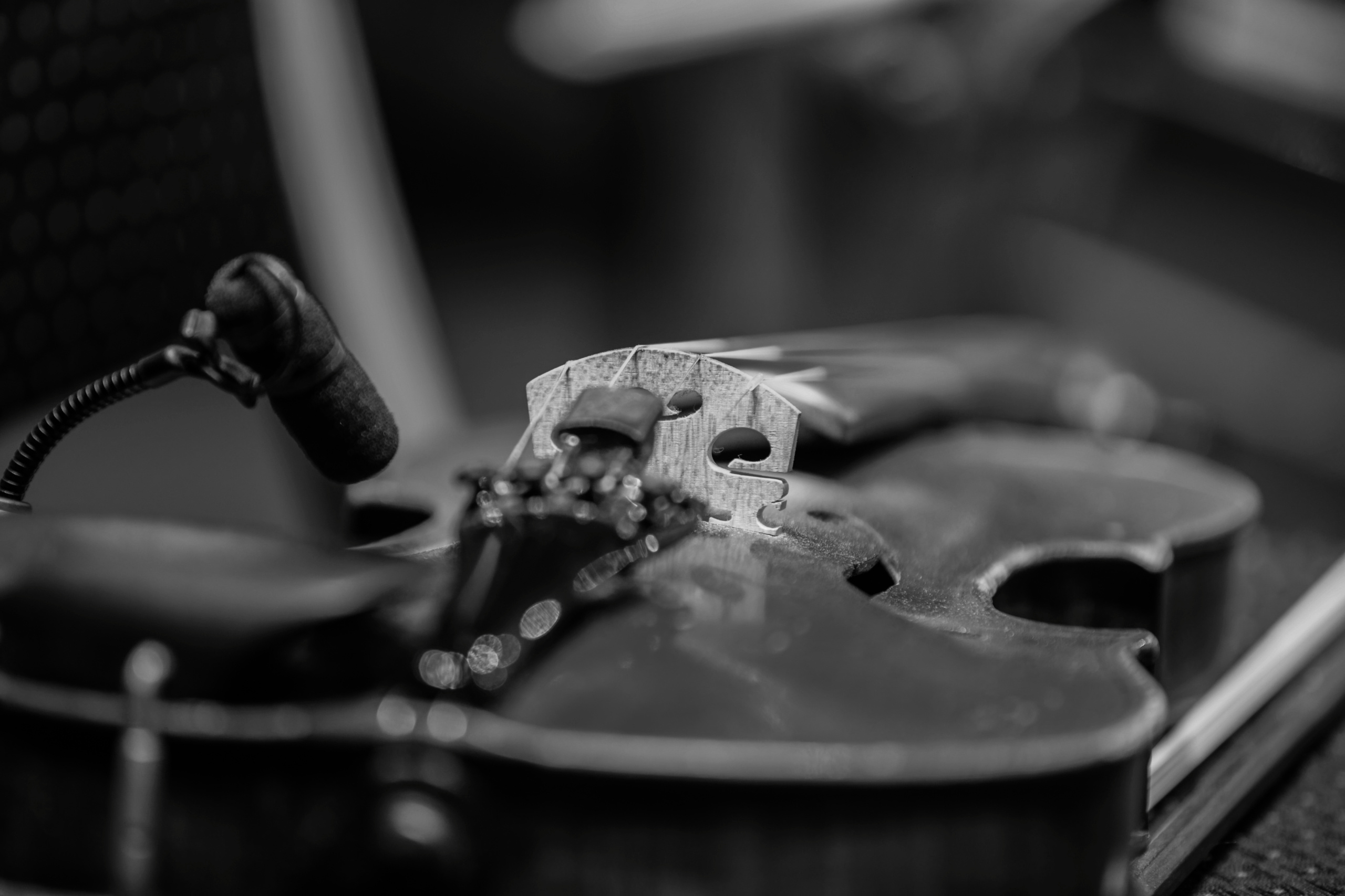 Бэки Глеб Самойлов и The Matrixx. Фотограф Сонкина Татьяна