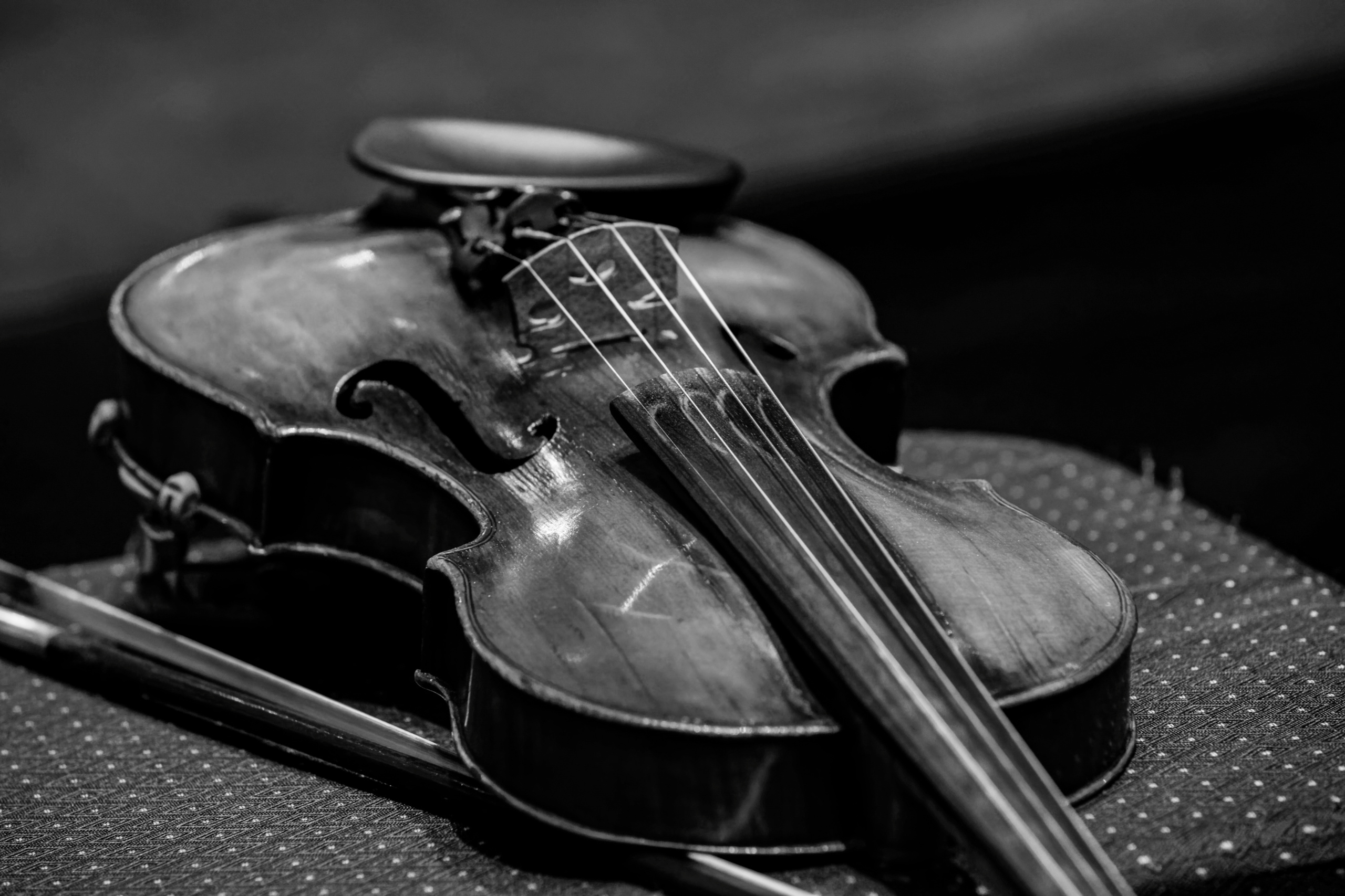 Бэки Глеб Самойлов и The Matrixx. Фотограф Сонкина Татьяна