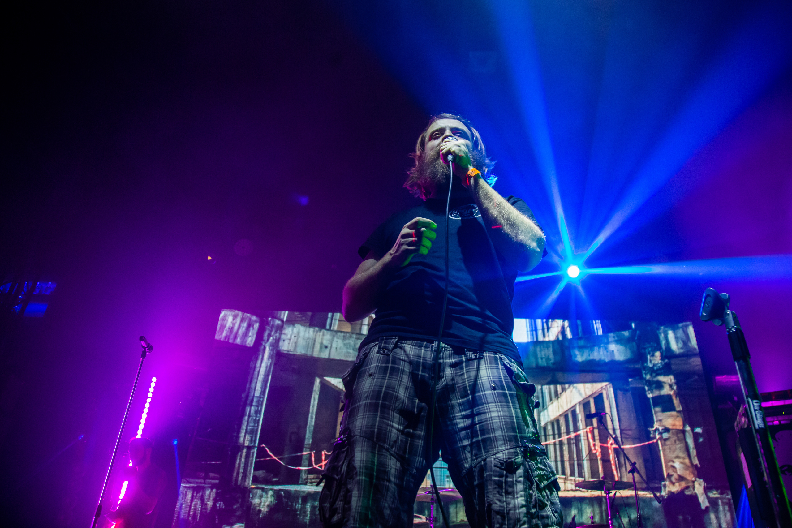 План Ломоносова. Фотограф Сонкина Татьяна