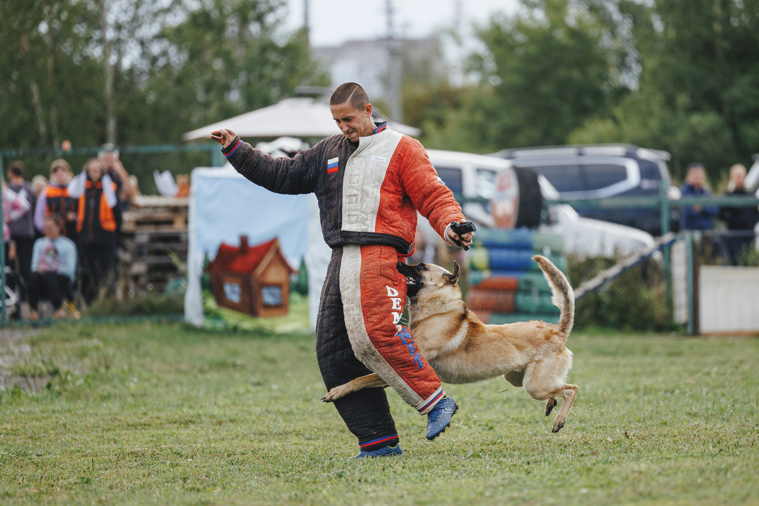 08.08.25-10.08.25 ЧР по мондьорингу г. Вологда. Фотограф-анималист Анна Маринич