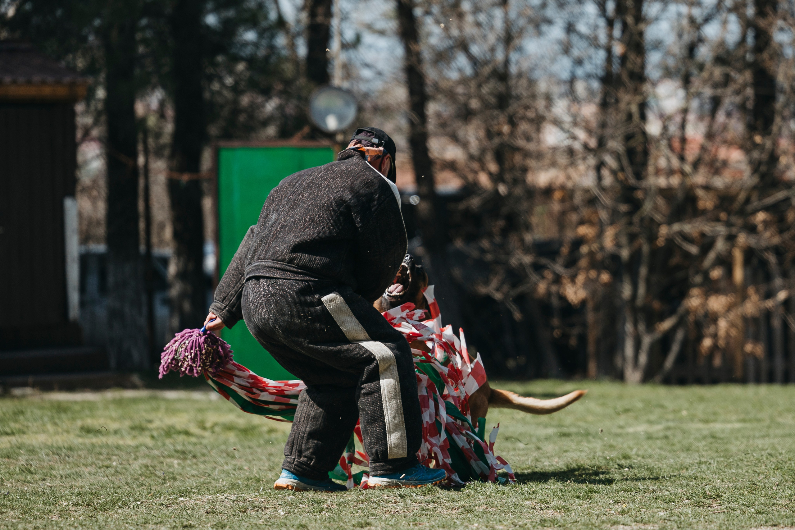 Геленджик Мондьоринг. Фотограф-анималист Анна Маринич