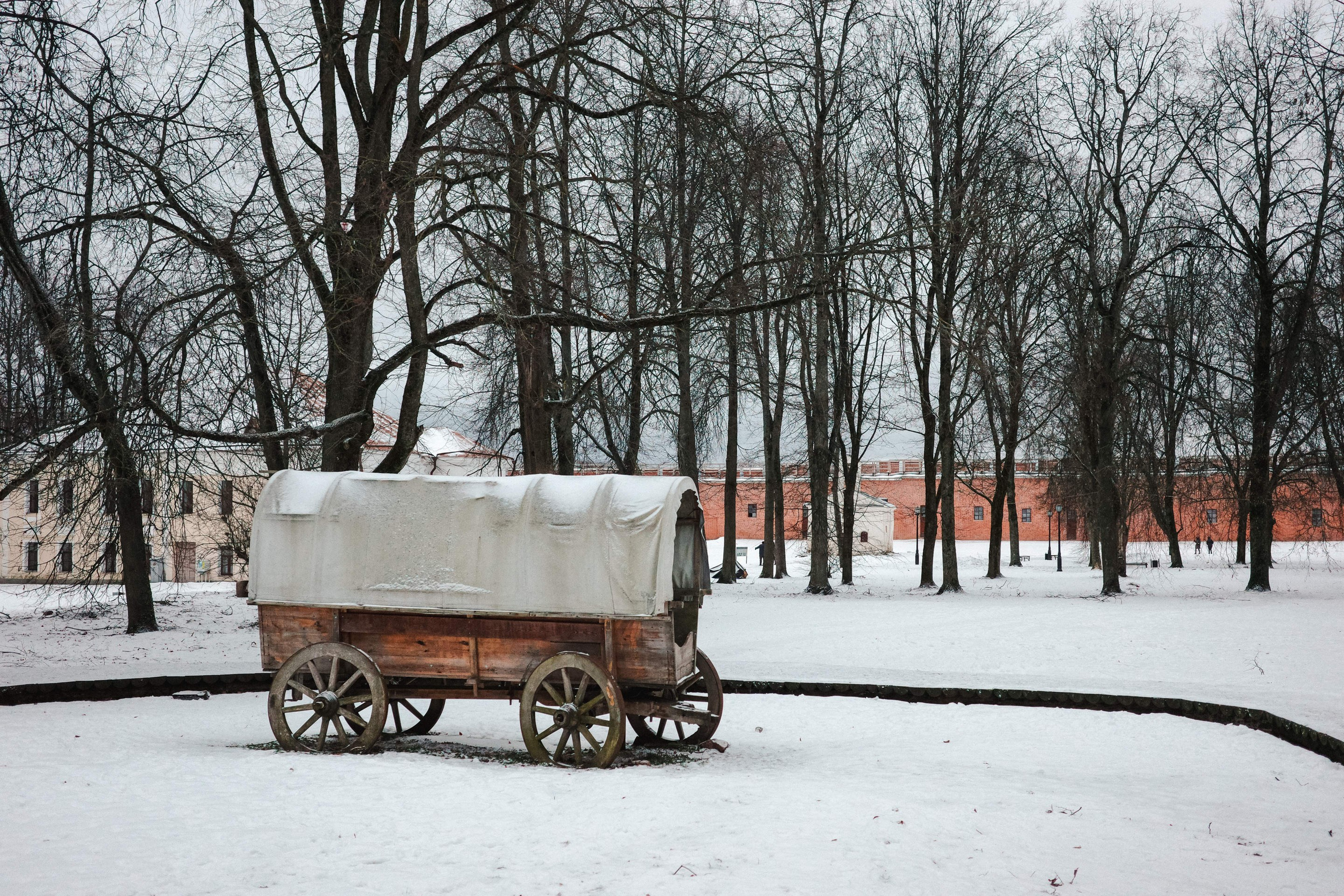 2025.01. Фотограф Алексей Алексеев