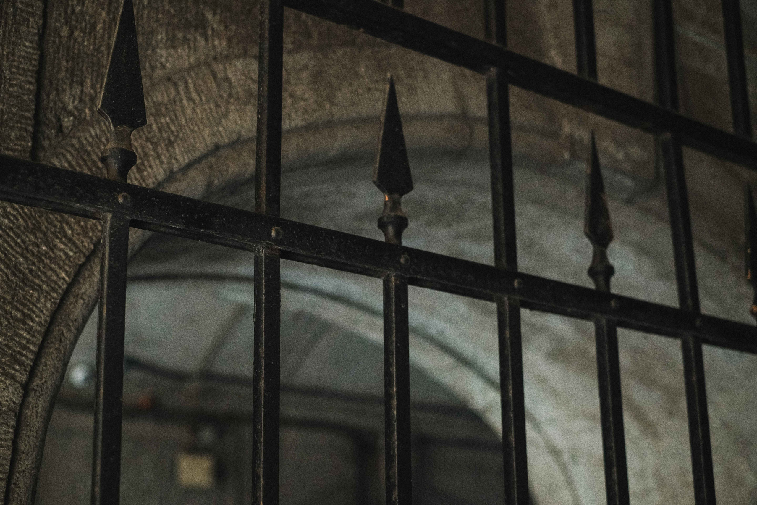 2022.01. Фотограф Алексей Алексеев