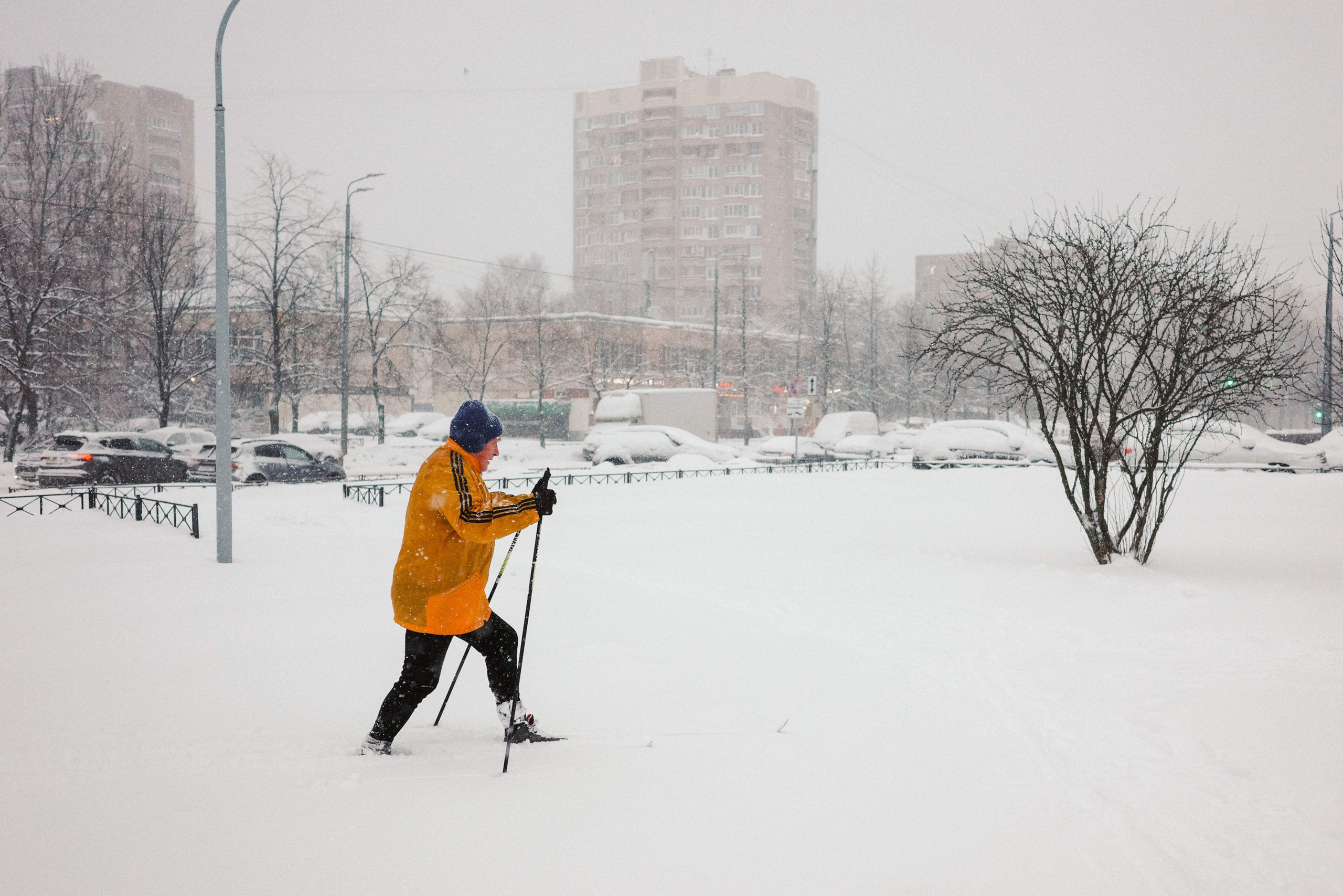 2025.01. Фотограф Алексей Алексеев