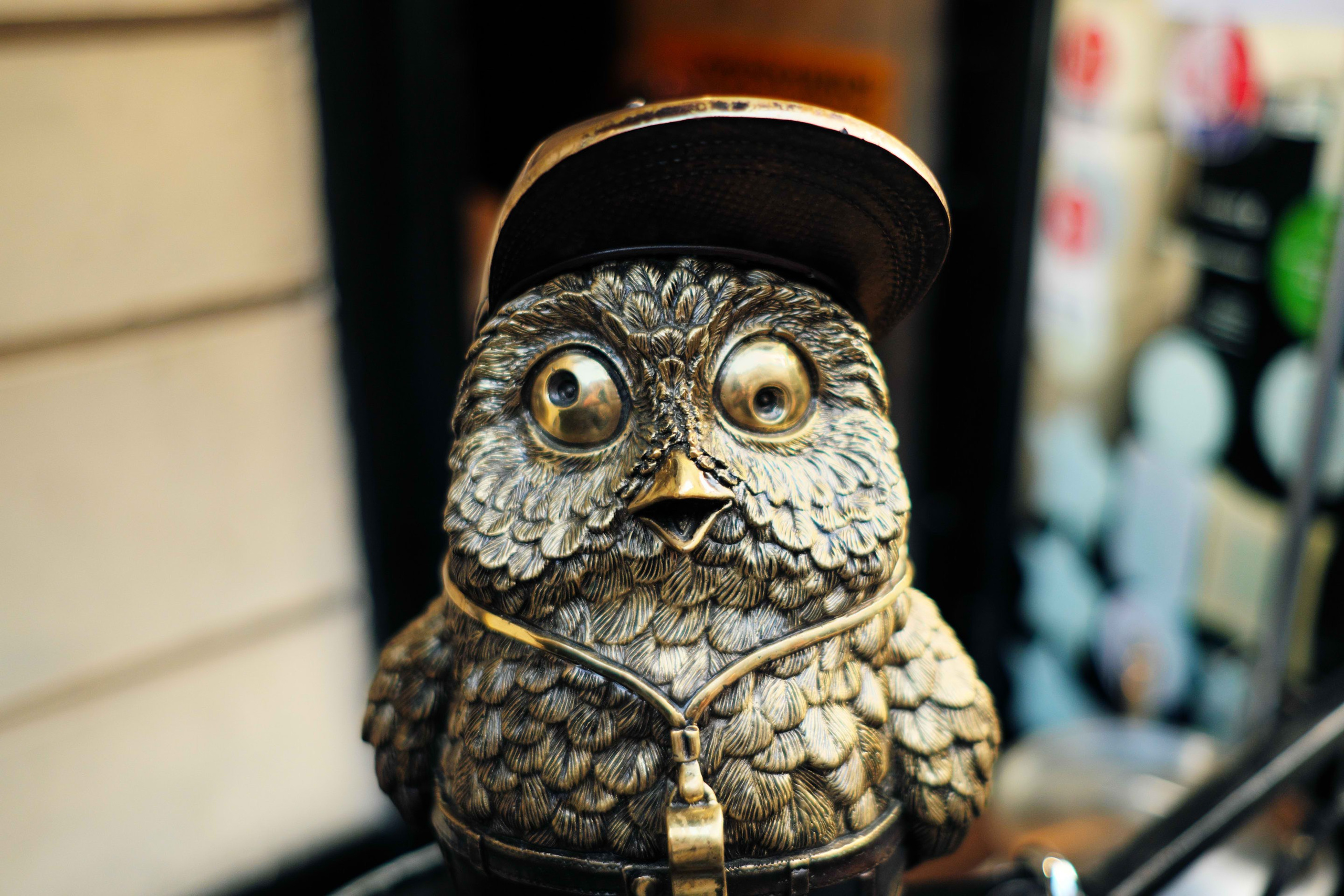 2021.10. Фотограф Алексей Алексеев