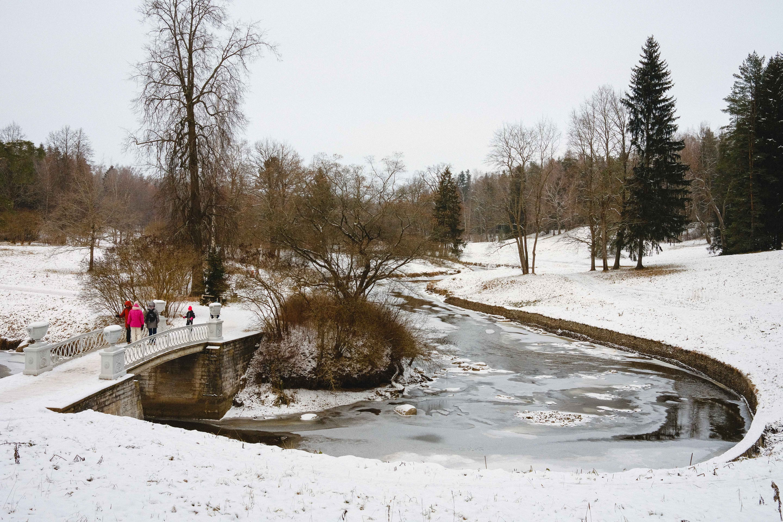 2022.11. Фотограф Алексей Алексеев