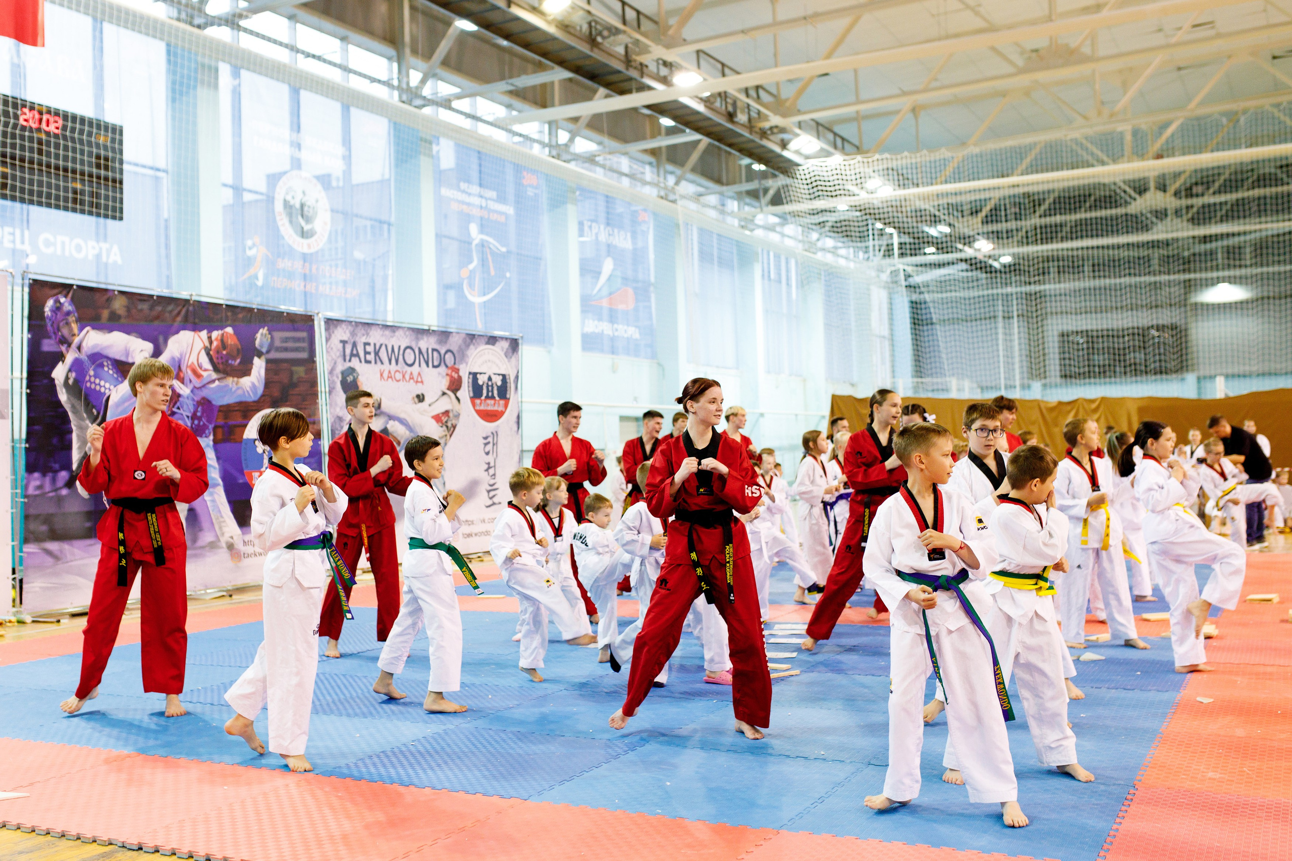 Тхэквондо СК «Каскад». Фотограф Дмитрий Молчанов | Фотограф Пермь | Фотограф