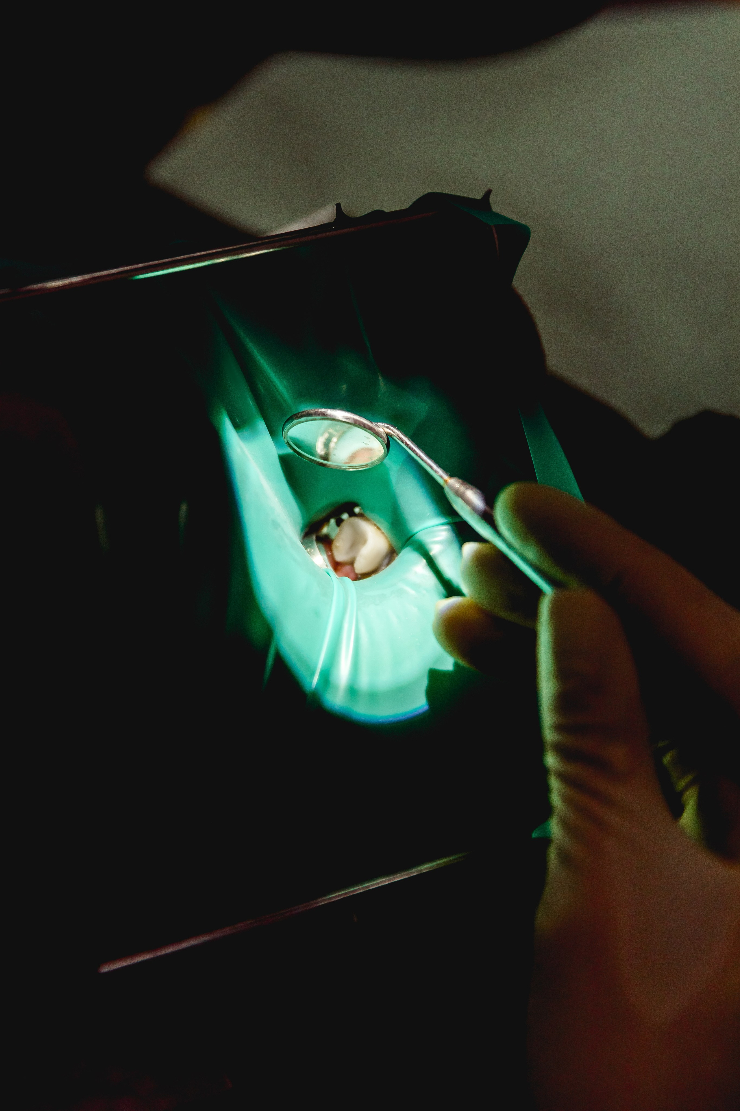 Стоматология. Семейный фотограф в Москве Татьяна Болтиева