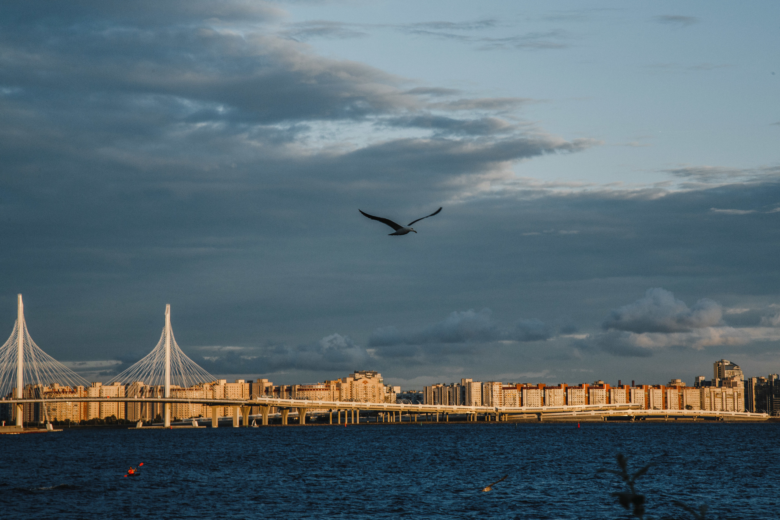Елена и Максим. Свадебный фотограф Юлия Шторм
