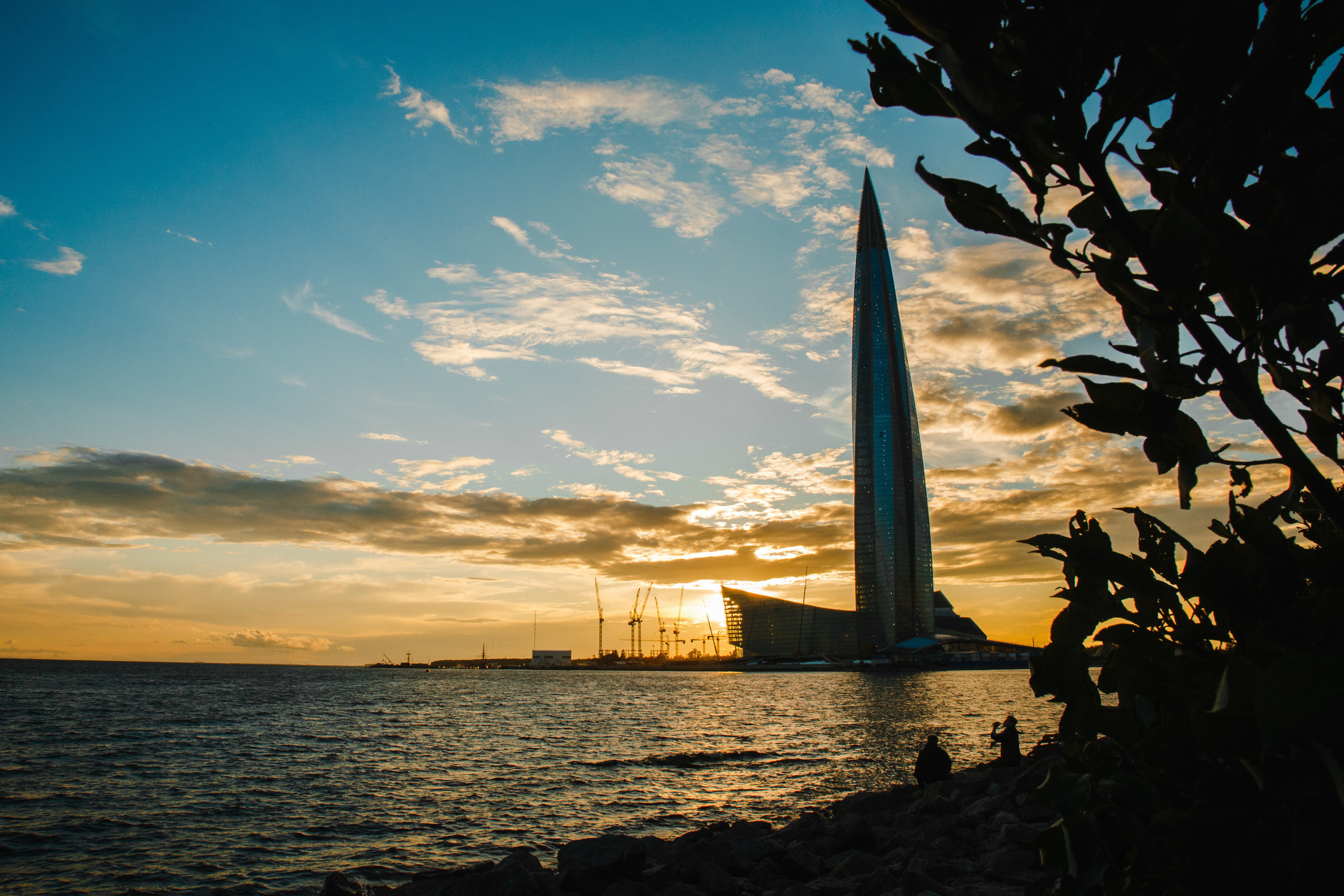 Елена и Максим. Свадебный фотограф Юлия Шторм