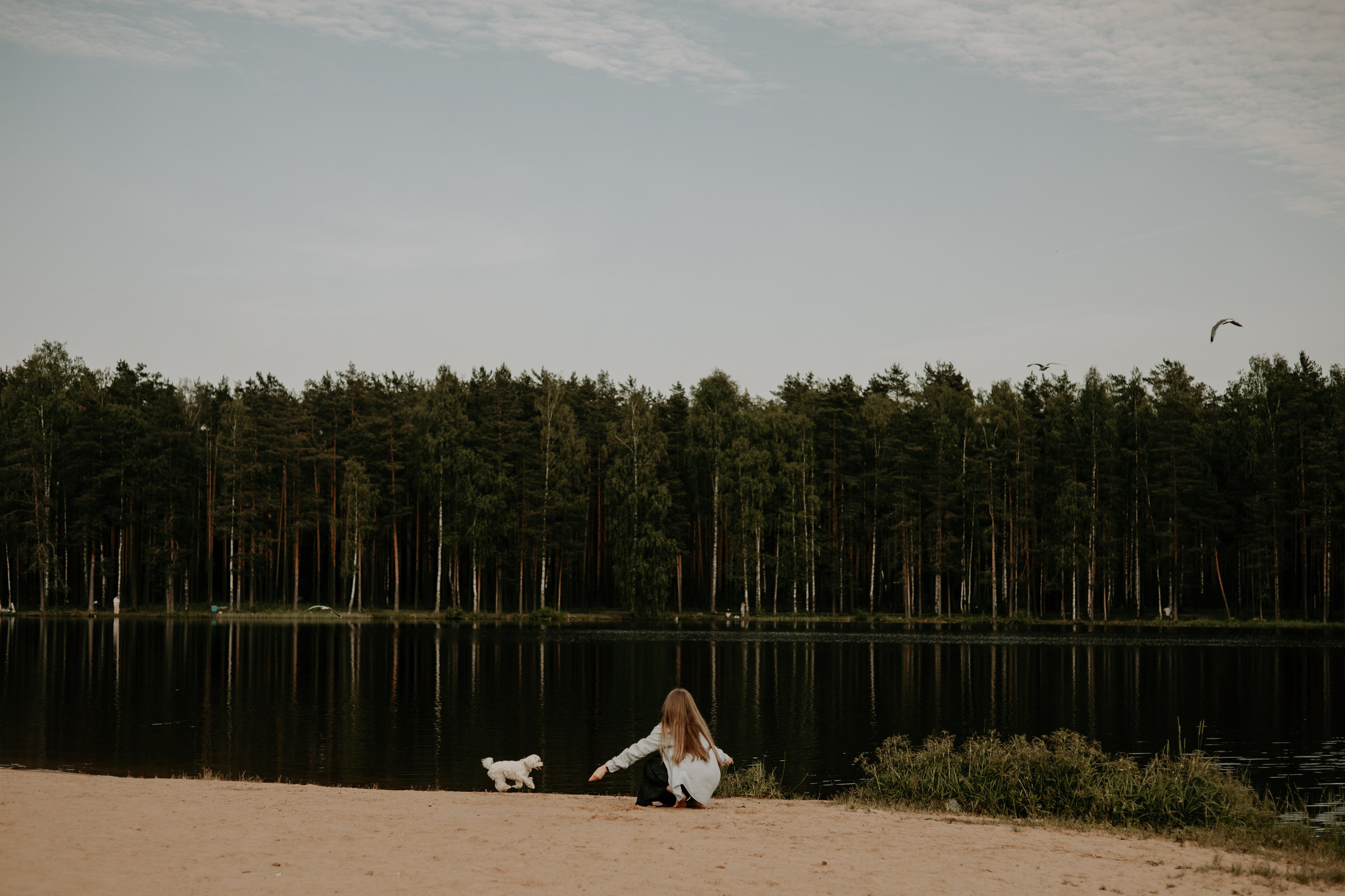 Оля и Джастин. Фотограф — анималист •love-story•|Санкт-Петербург