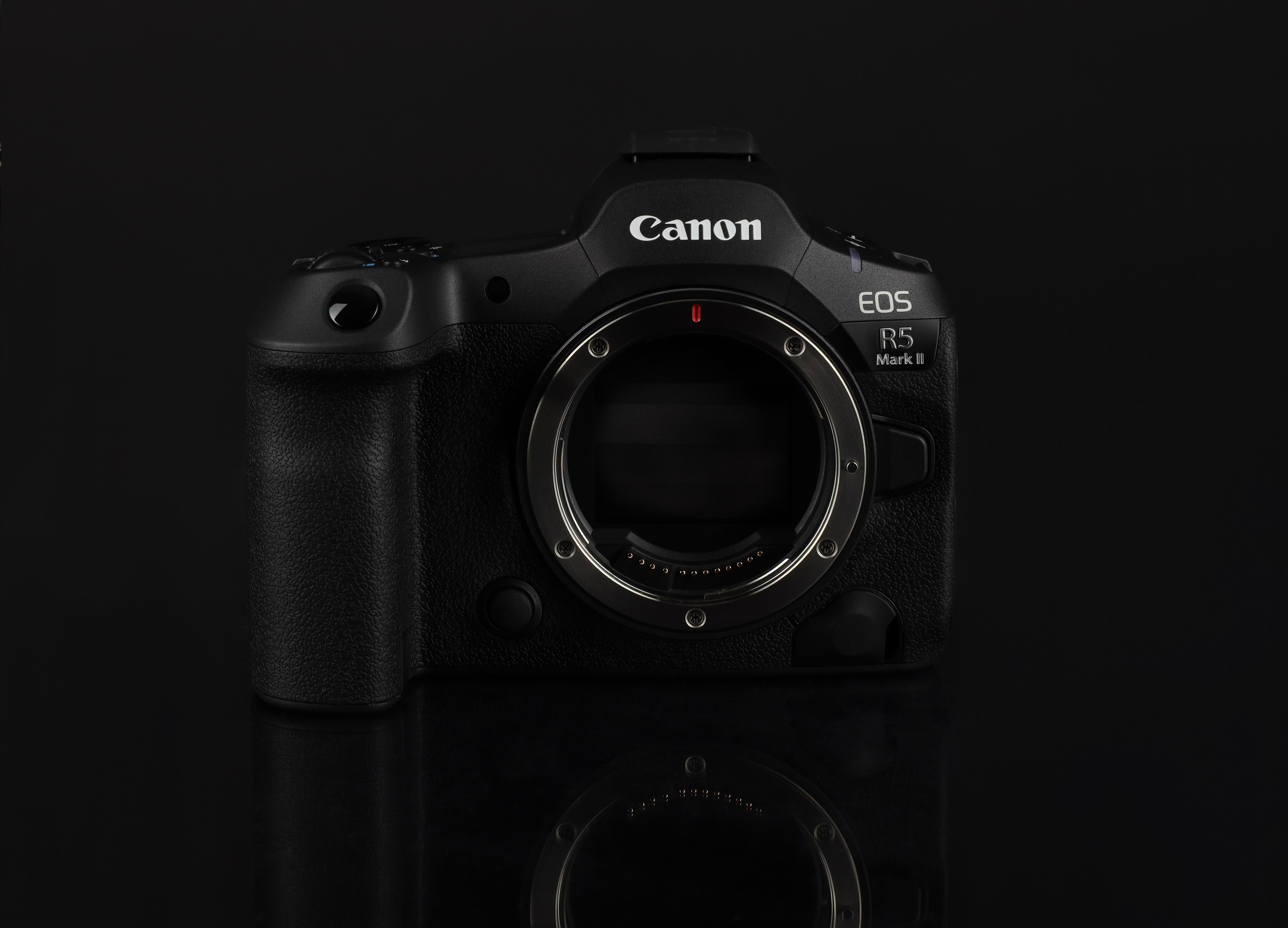 Предметная съемка. Фотограф Светлана Заплатина