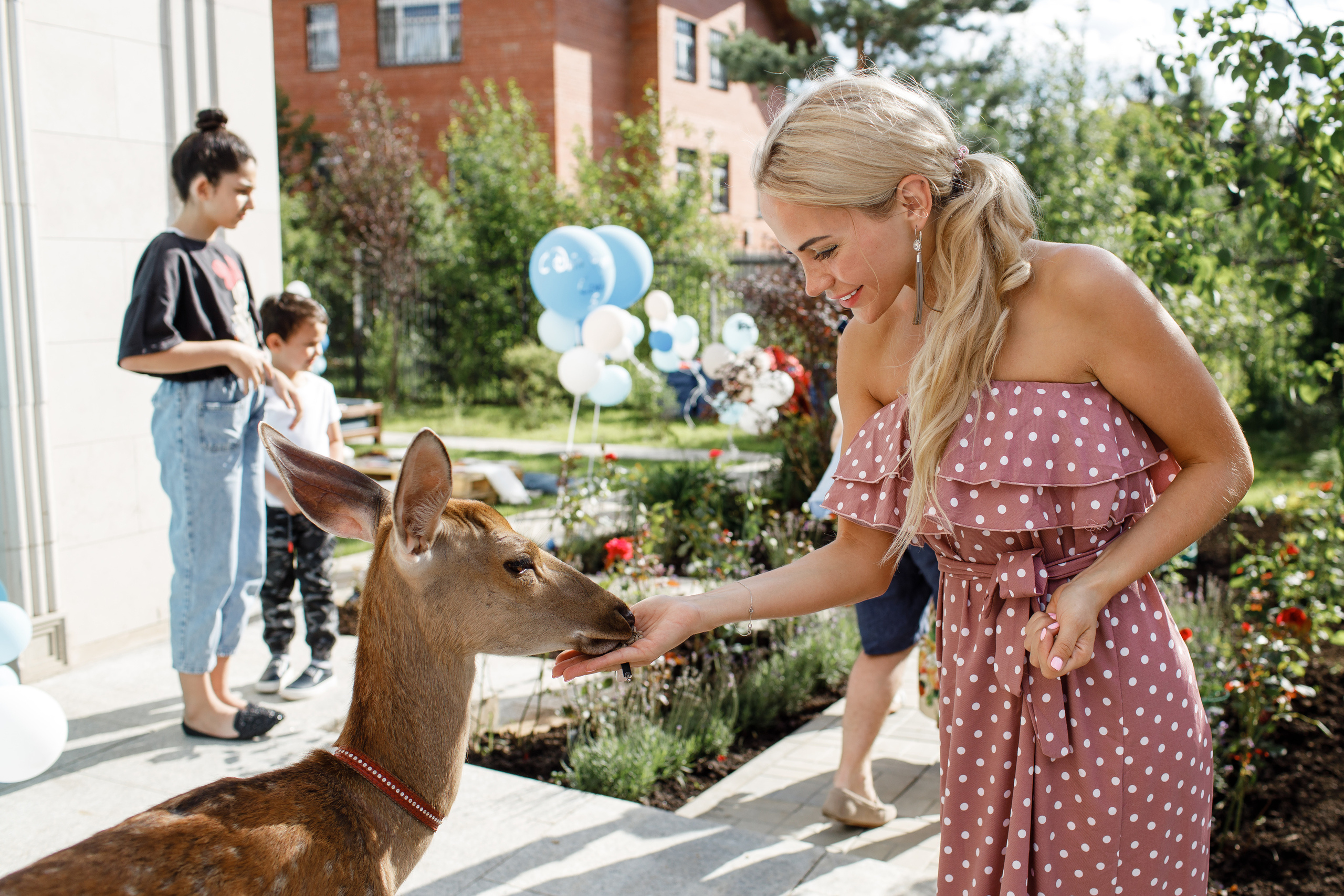 Семёну 5 лет. Свадебный и семейный фотограф