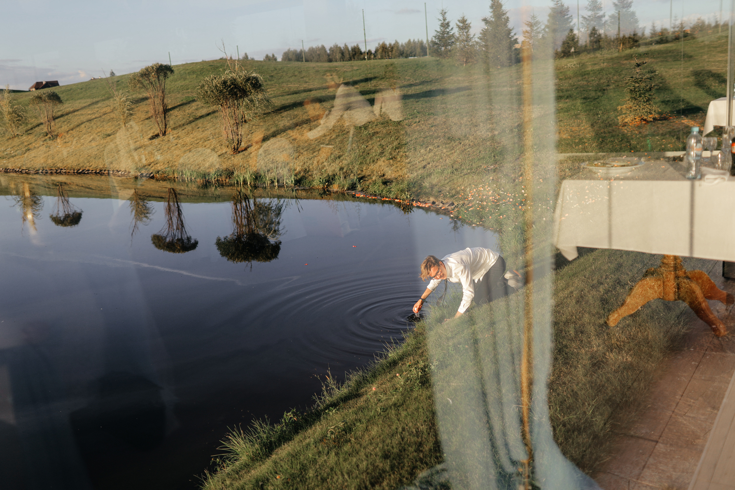 Сергей и Анна. Свадебный и семейный фотограф