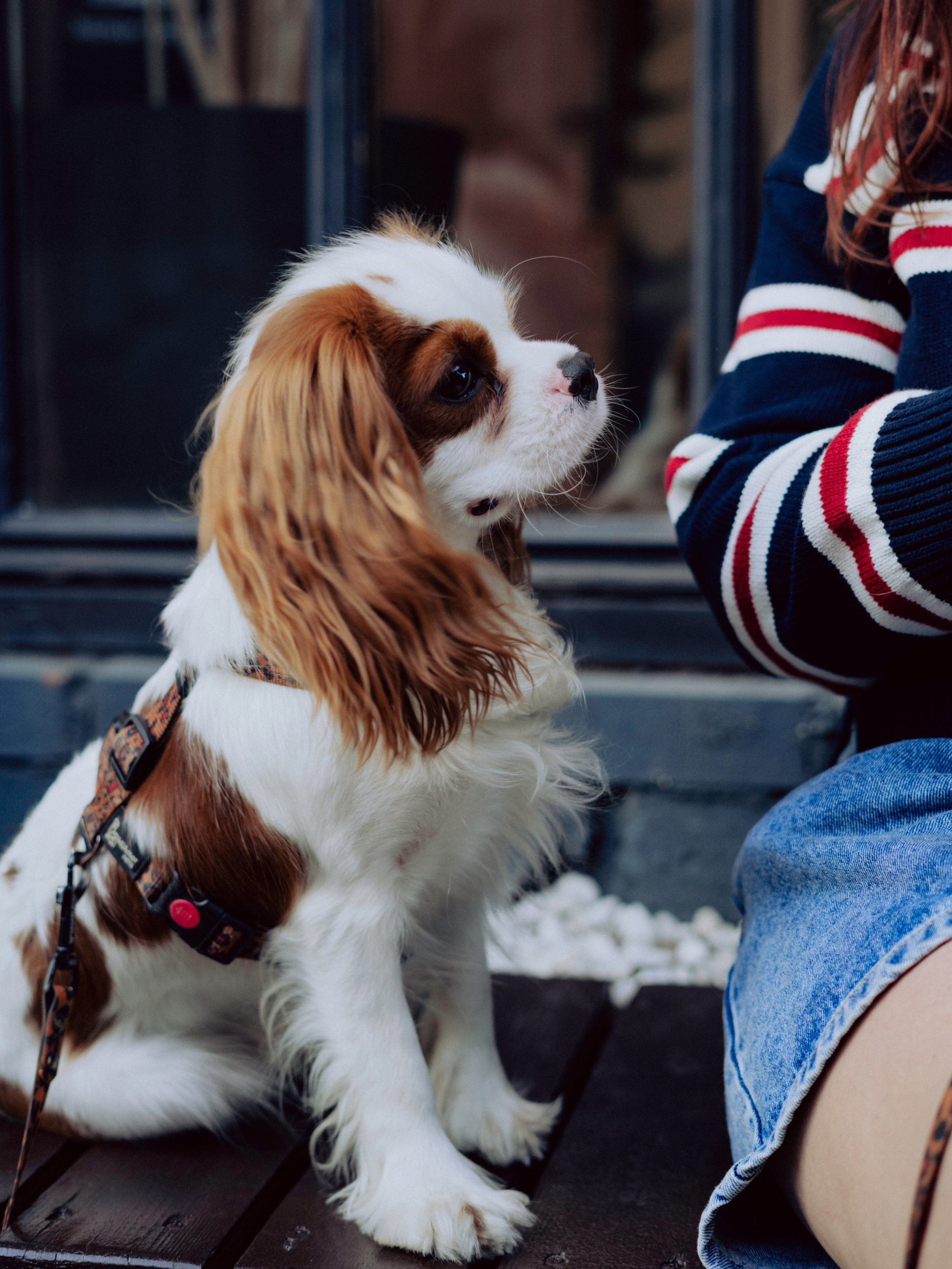 INPROSSECO FEST. Фотограф в Москве Шалышко Ангелина