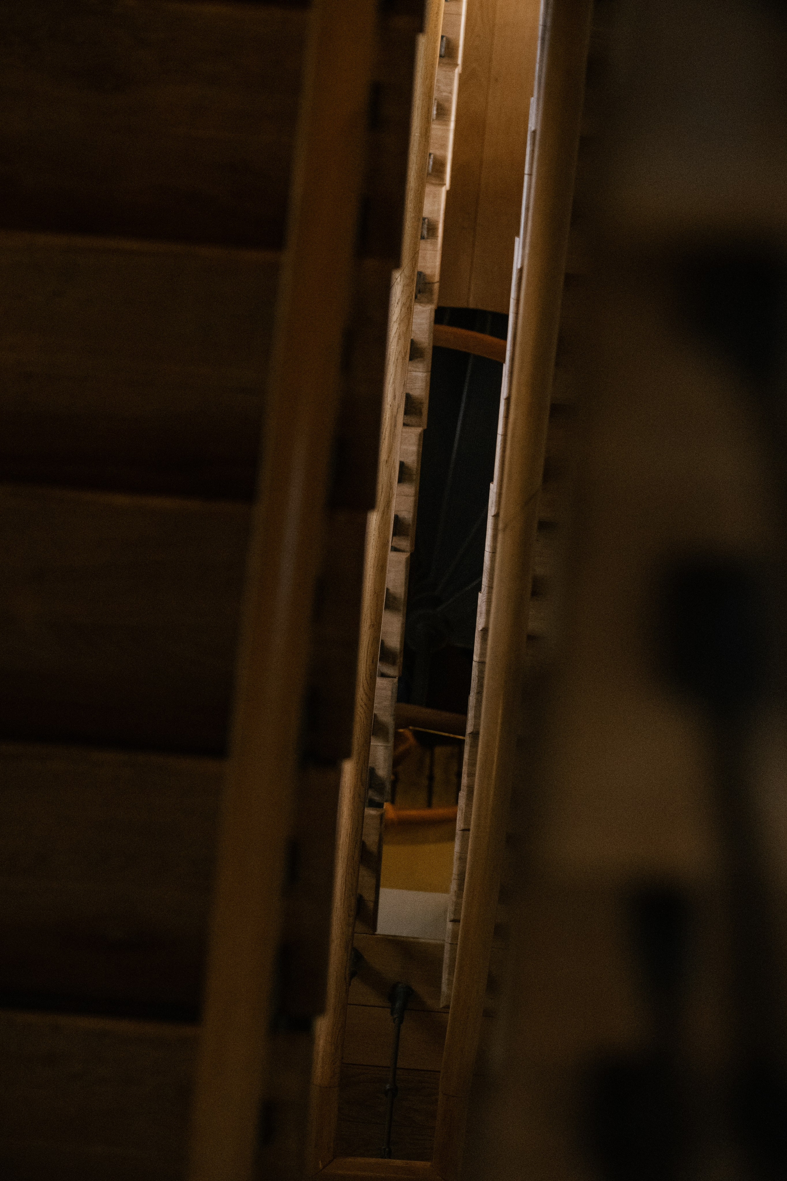 Творчество. Портретный и репортажный фотограф в Санкт-Петербурге Дарья Сибирякова