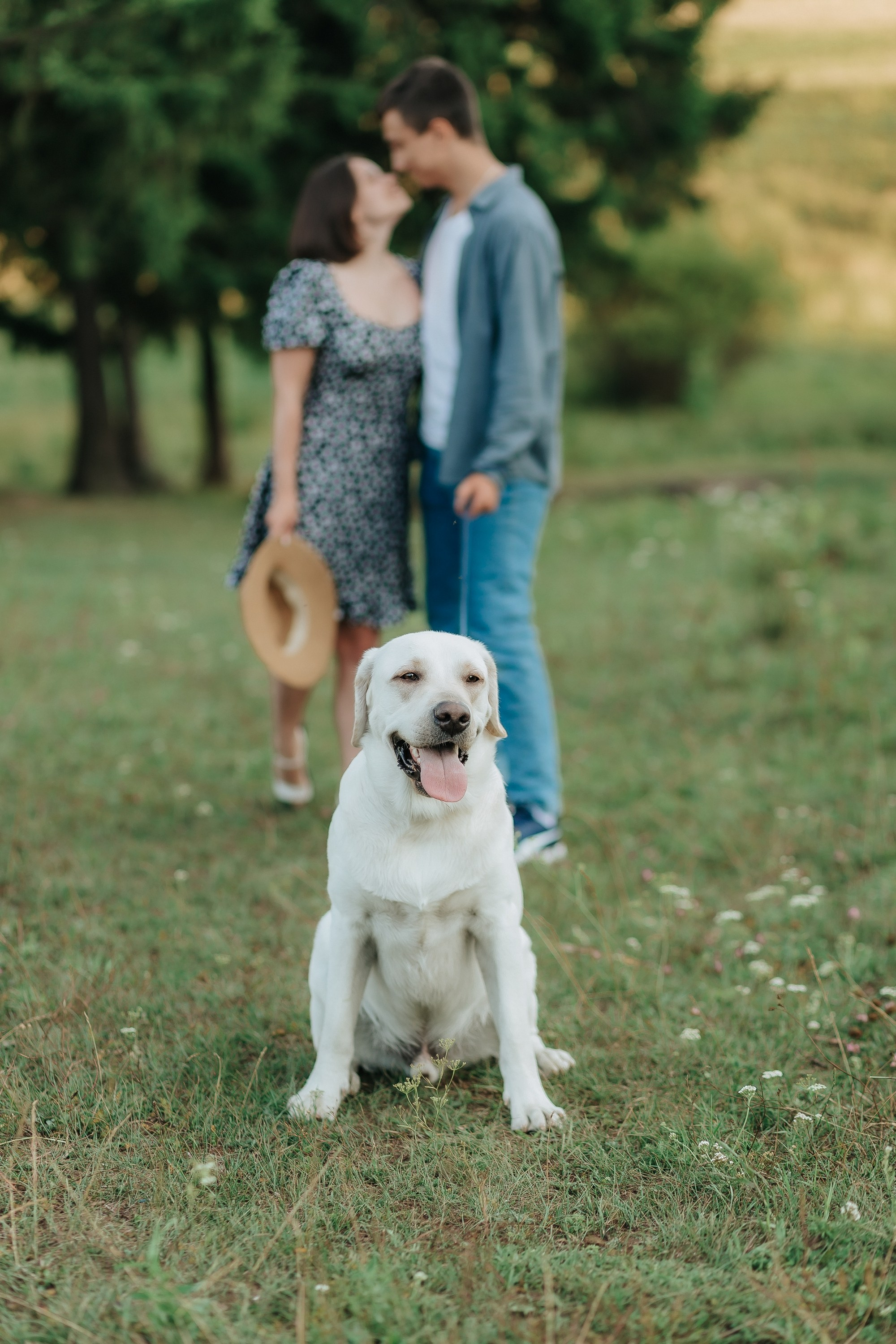 A+N & Houston. Свадебный фотограф Пермь