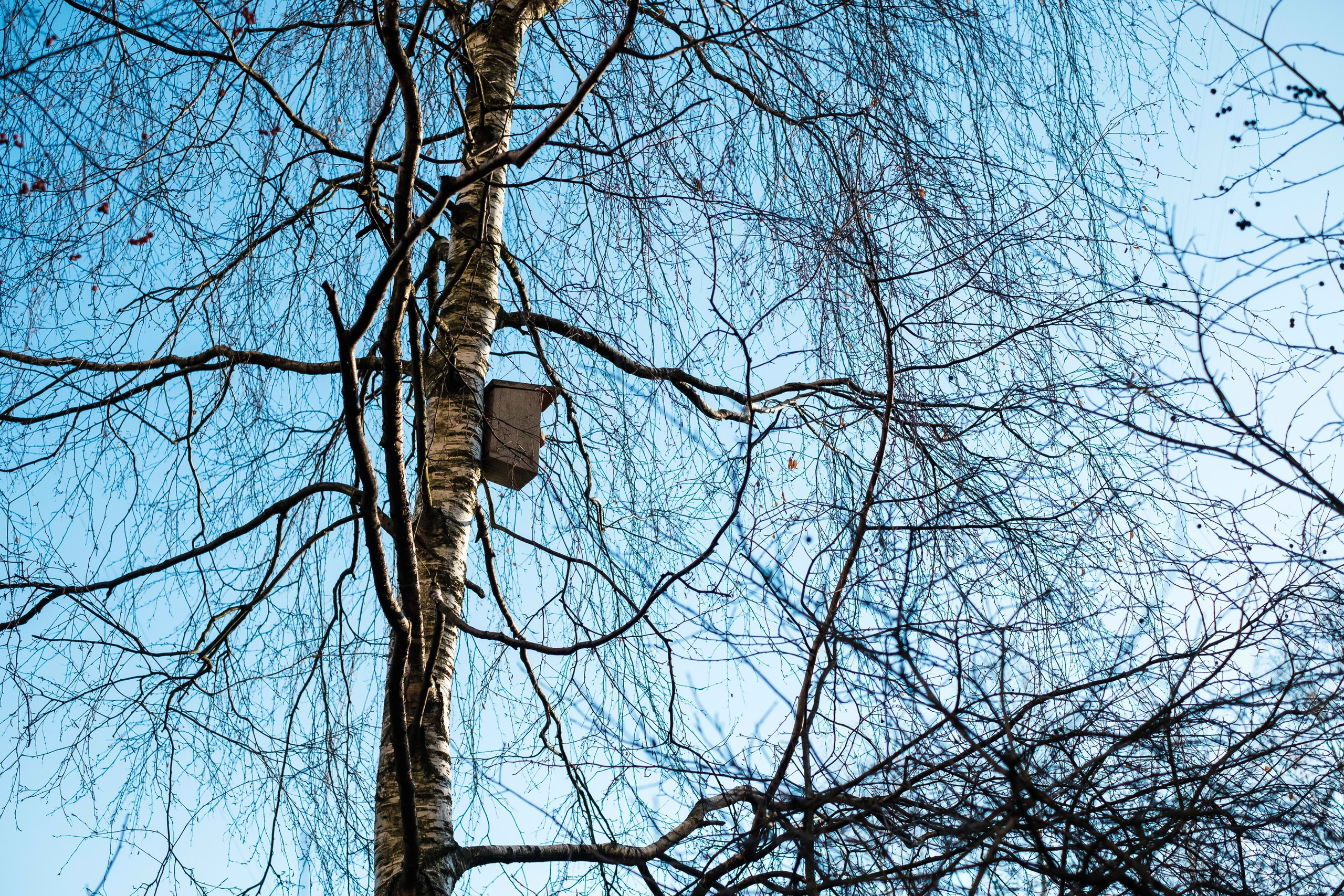 2021.11. Фотограф Алексей Алексеев