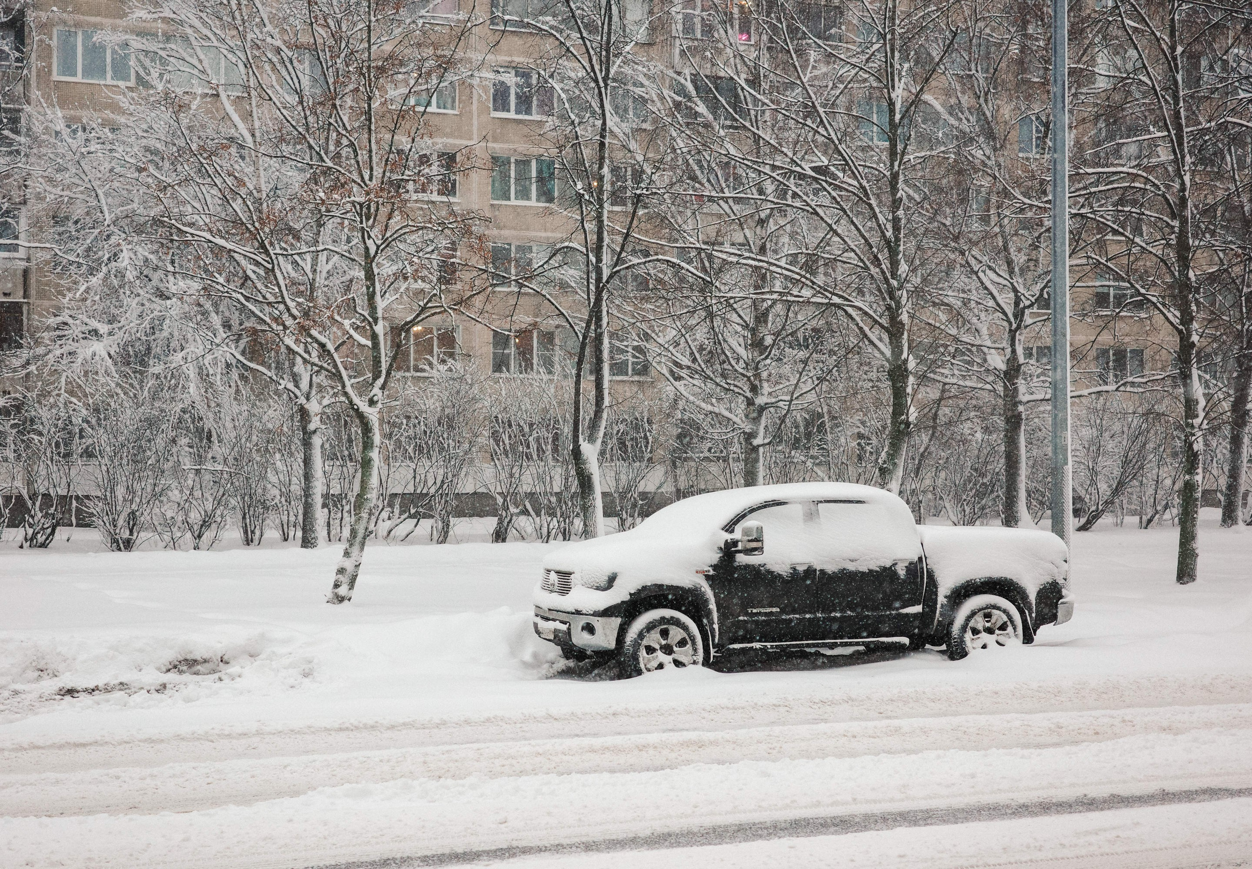 2025.01. Фотограф Алексей Алексеев