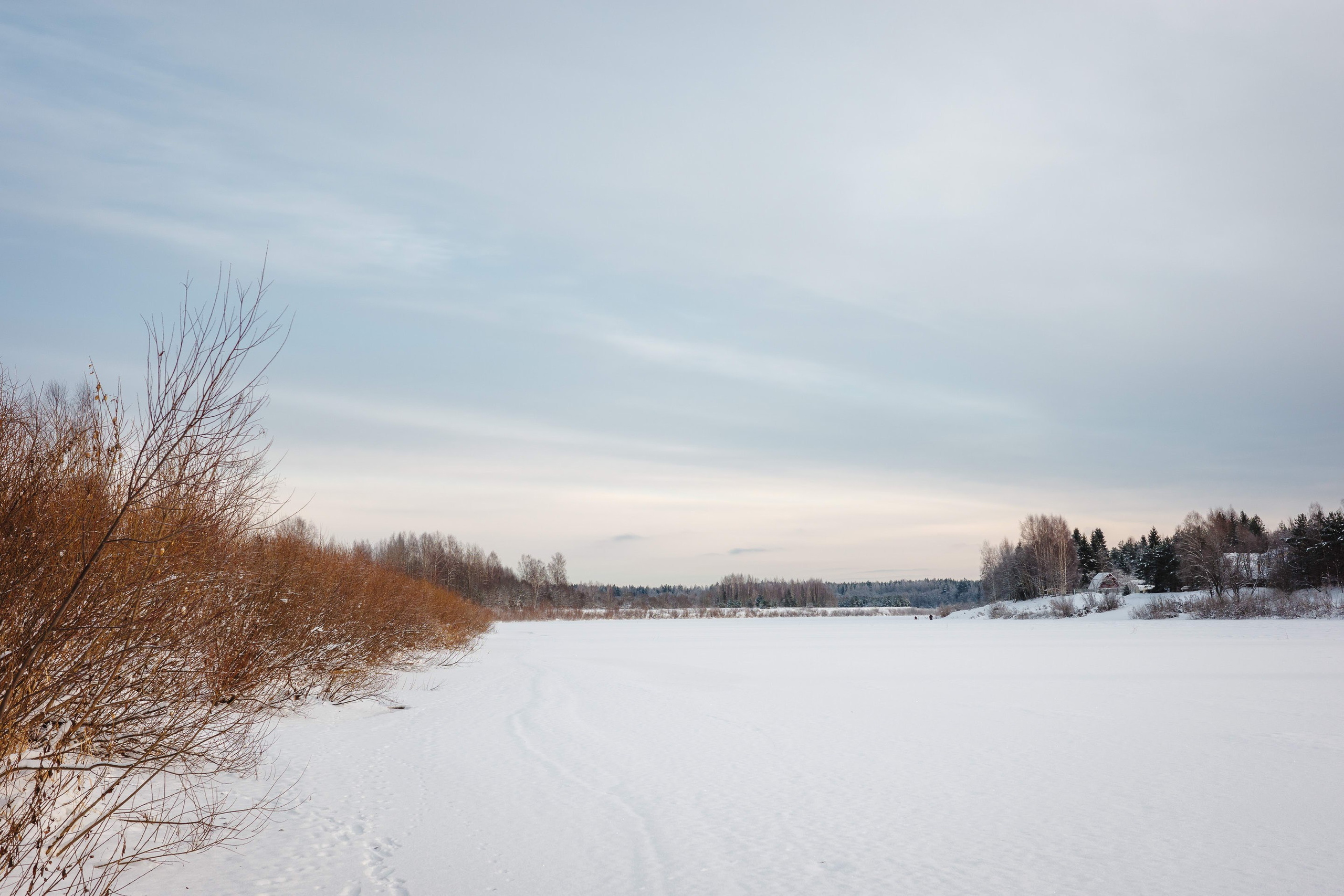 2024.01. Фотограф Алексей Алексеев