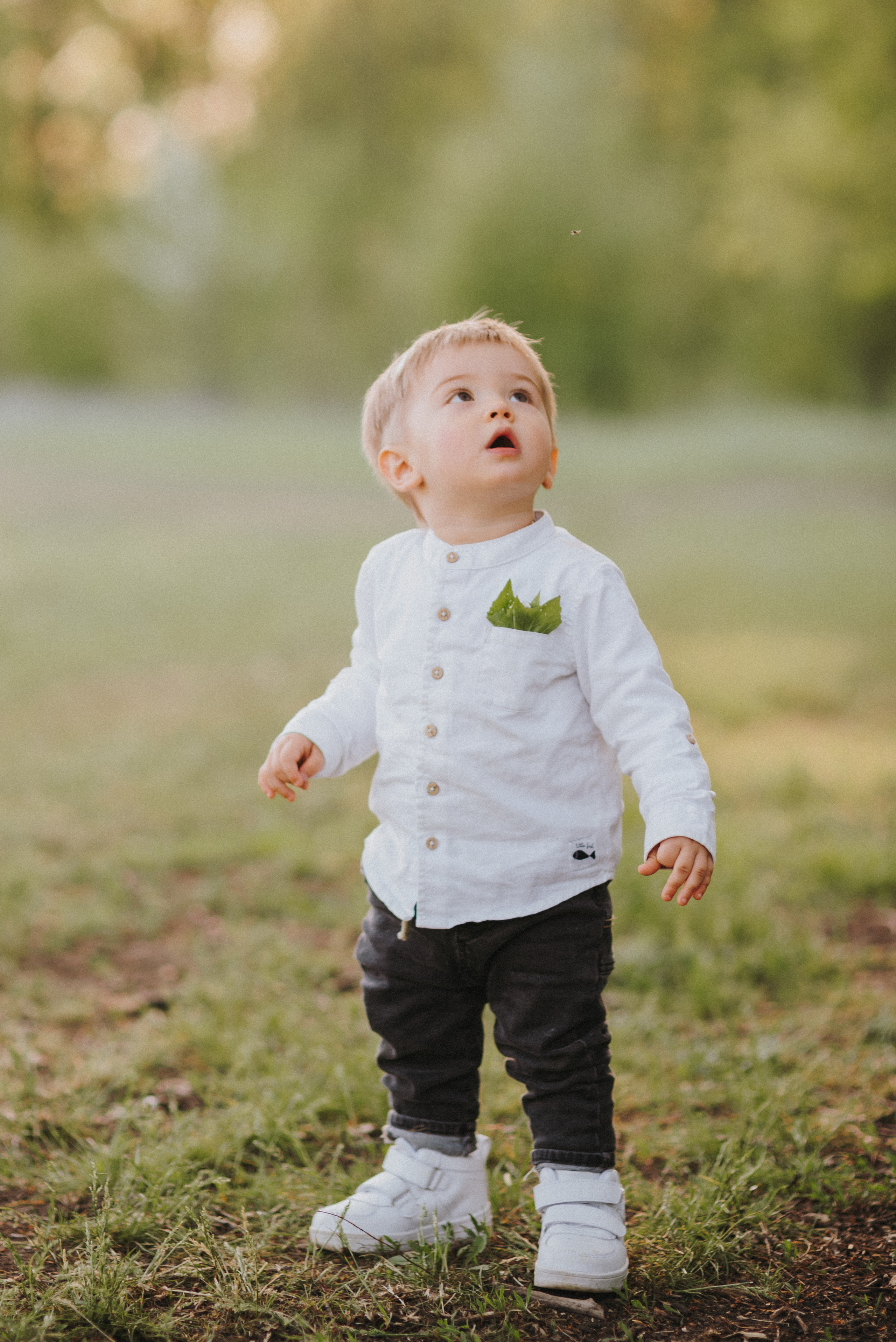 Антоша, Катюша, Платоша и Саша. Свадебный и семейный фотограф Волгоград Москва