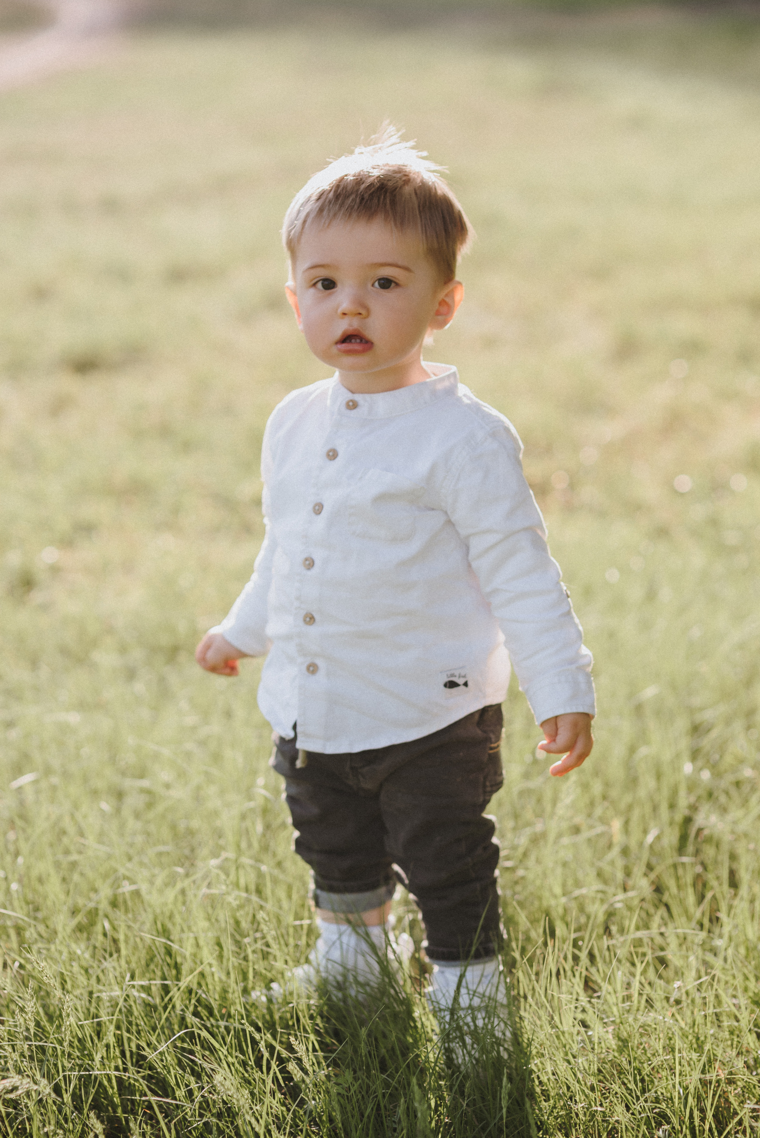 Антоша, Катюша, Платоша и Саша. Свадебный и семейный фотограф Волгоград Москва