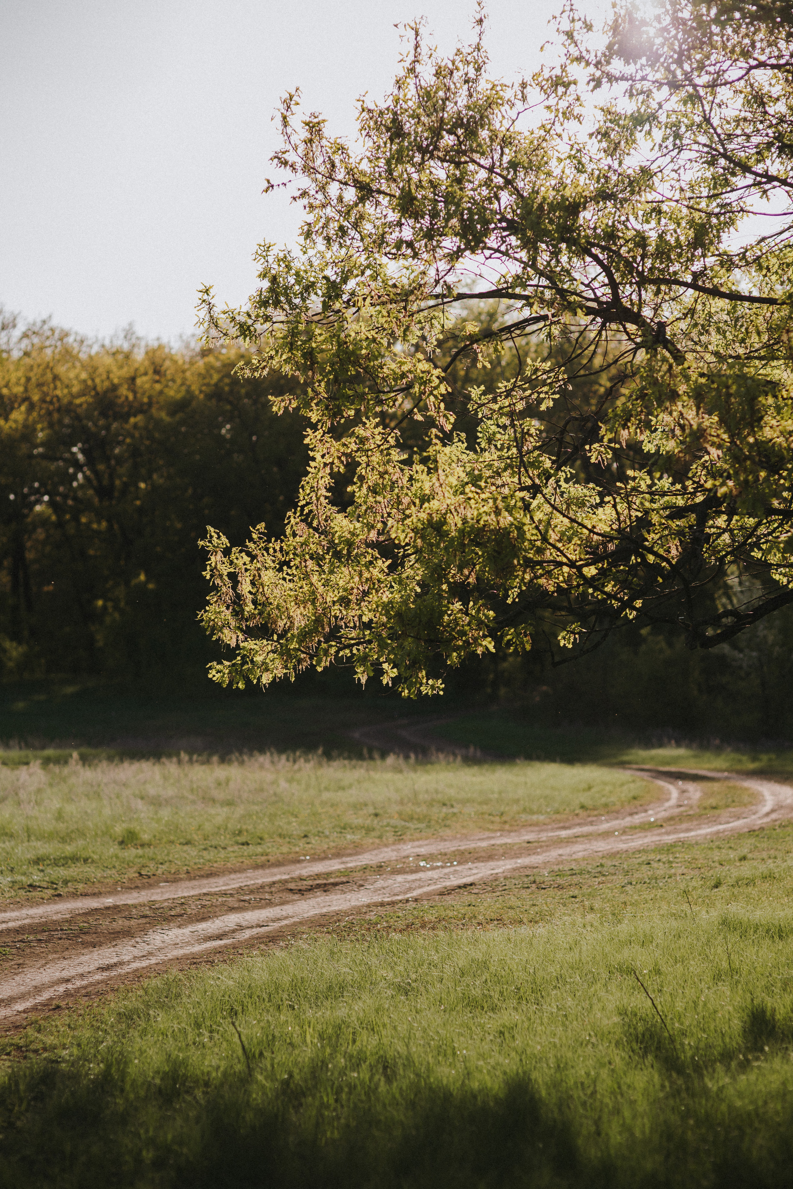 Антоша, Катюша, Платоша и Саша. Свадебный и семейный фотограф Волгоград Москва