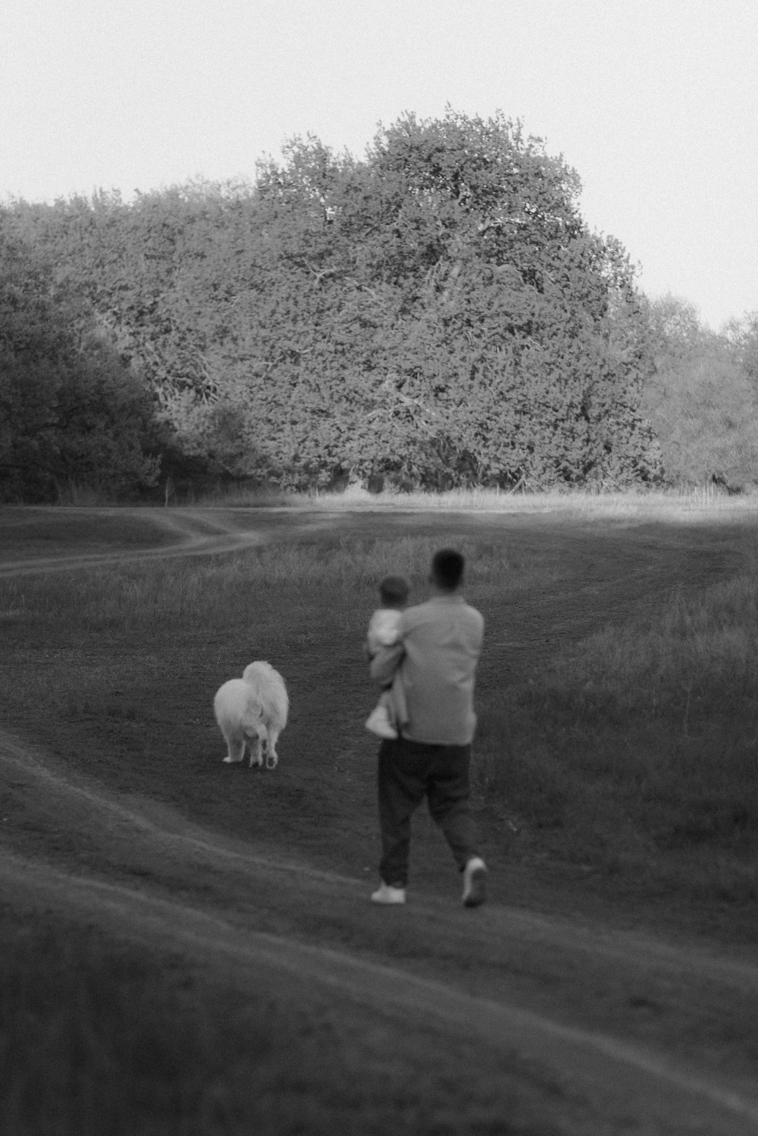 Антоша, Катюша, Платоша и Саша. Свадебный и семейный фотограф Волгоград Москва