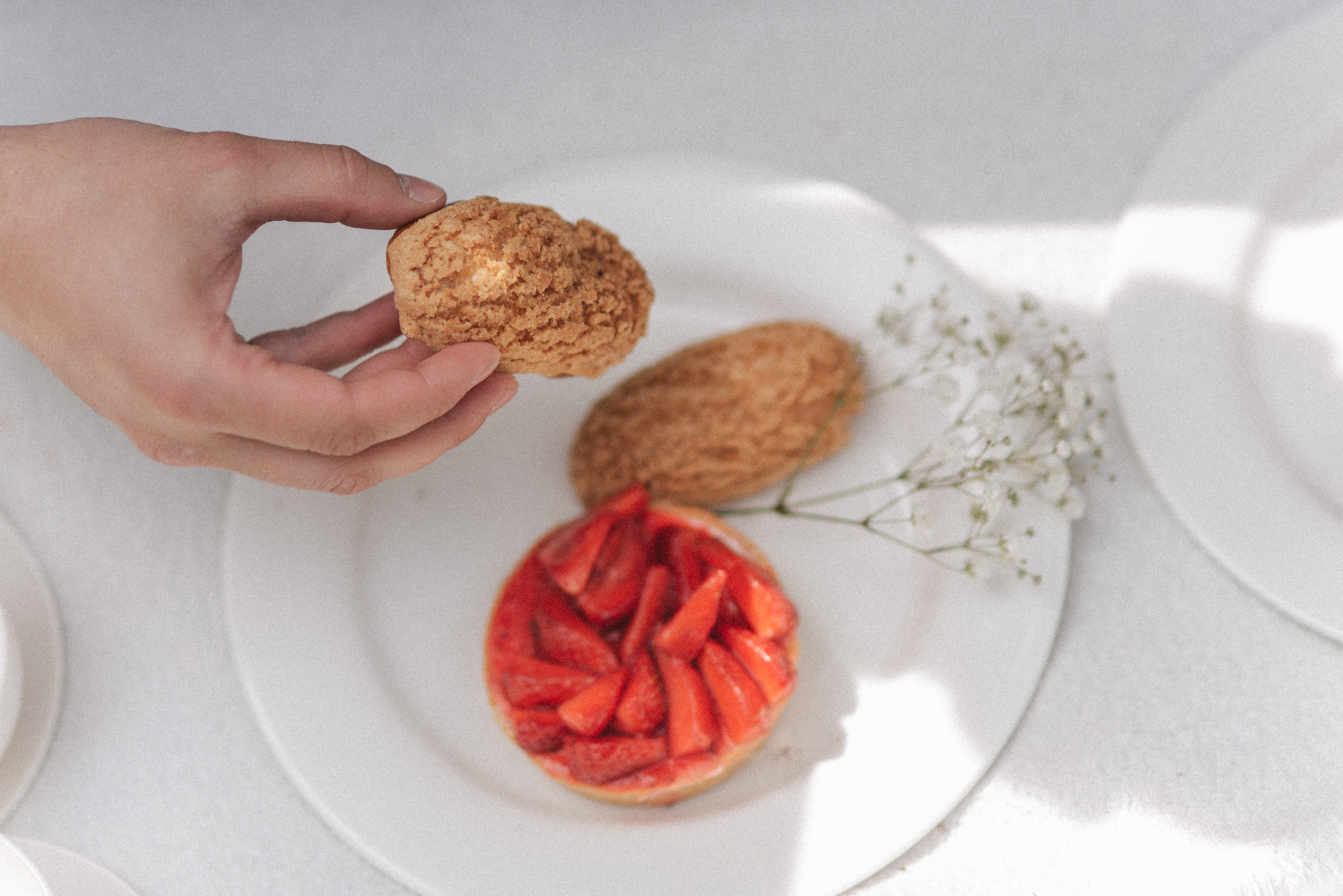 Саша + Карина — Организация ВАН ЛАВ. Свадебный и семейный фотограф Волгоград Москва