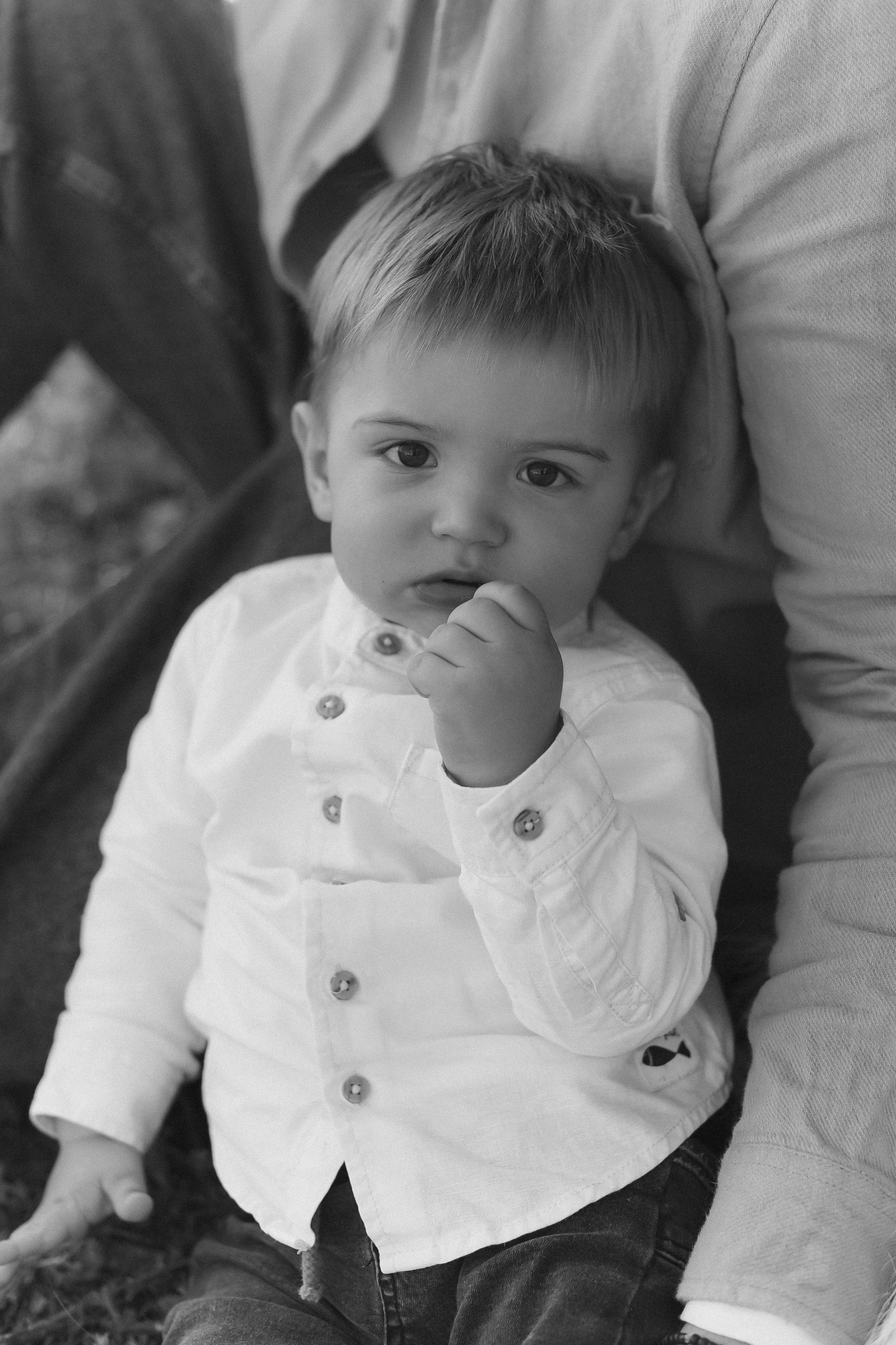 Антоша, Катюша, Платоша и Саша. Свадебный и семейный фотограф Волгоград Москва