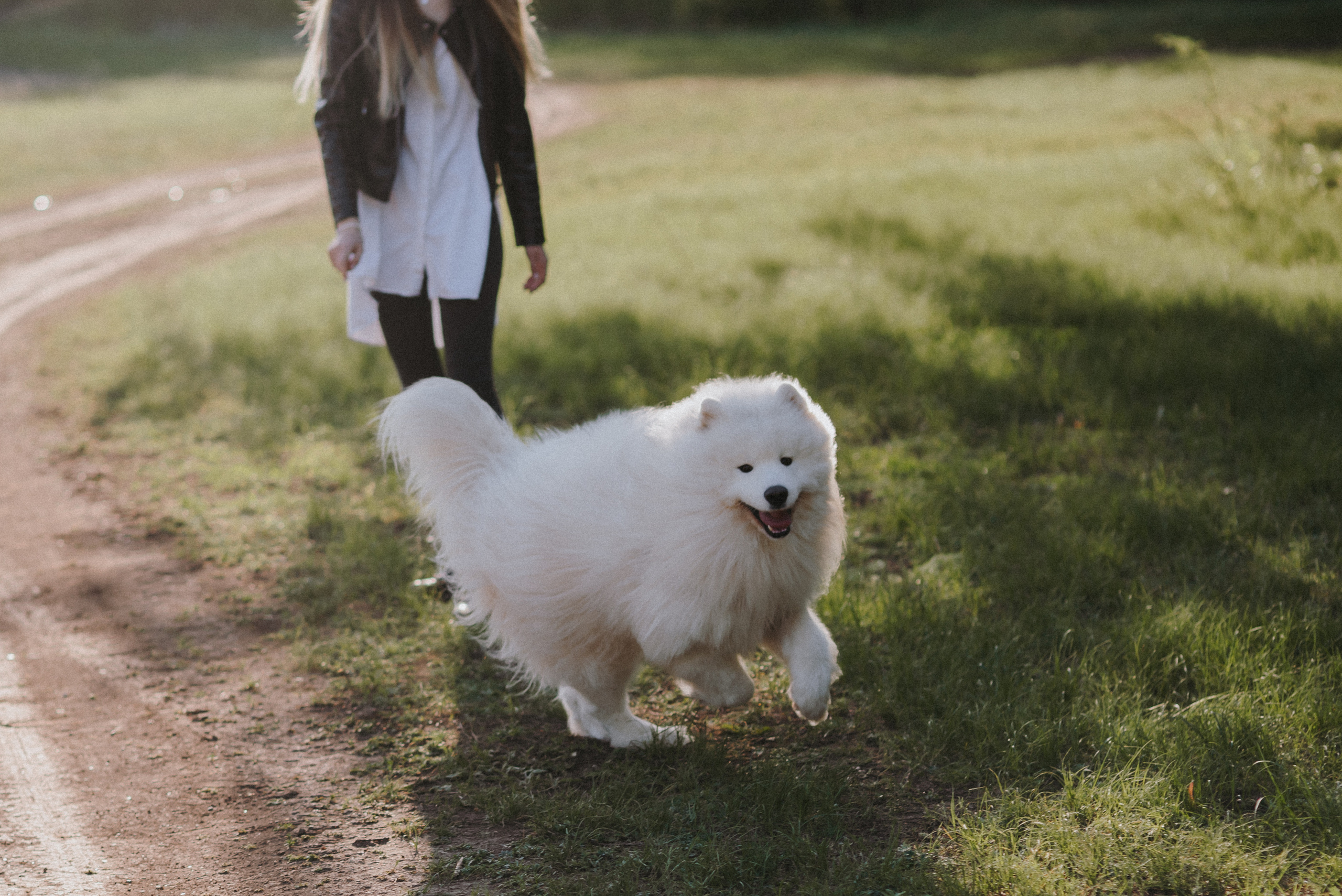 Антоша, Катюша, Платоша и Саша. Свадебный и семейный фотограф Волгоград Москва