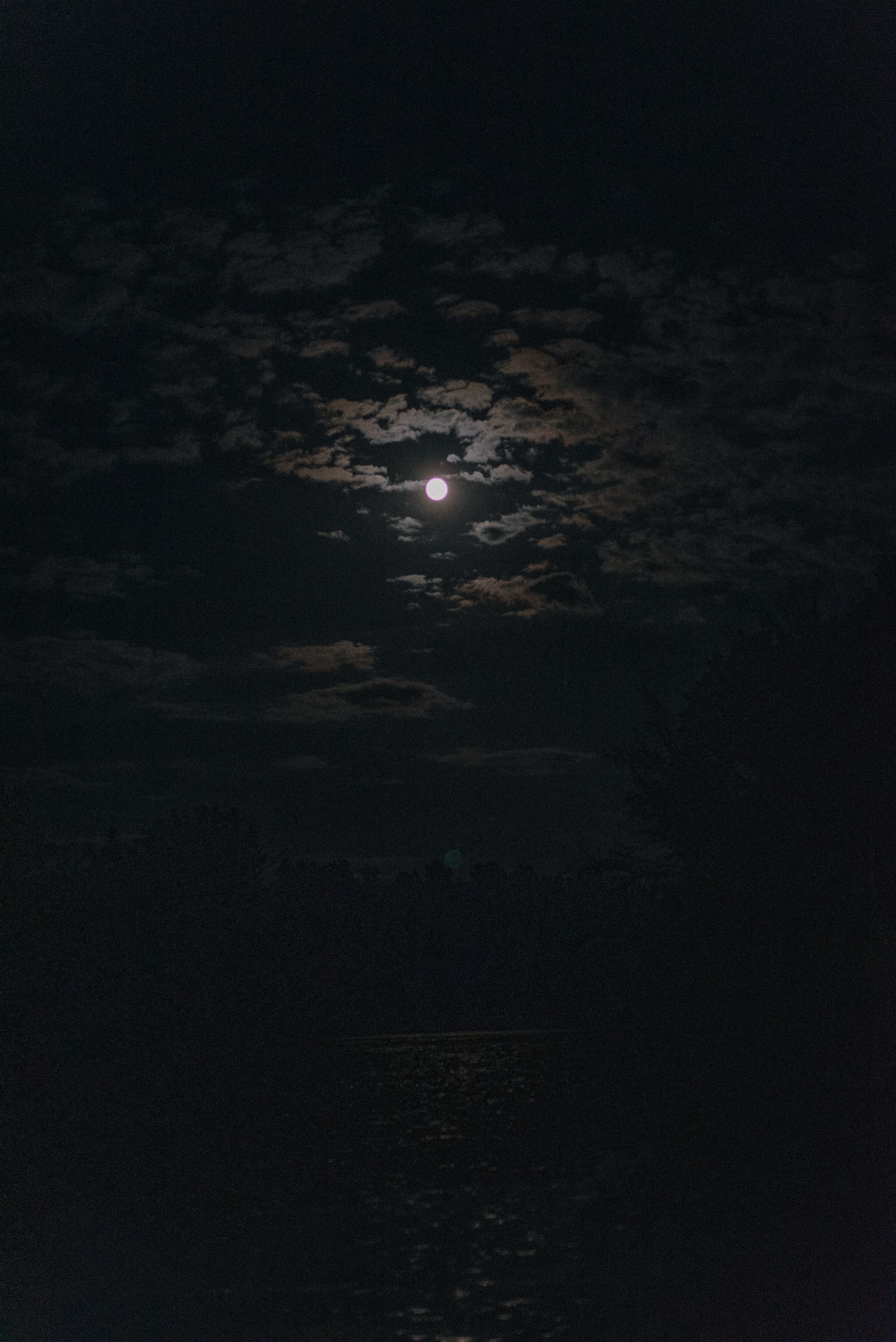 Саша + Карина — Организация ВАН ЛАВ. Свадебный и семейный фотограф Волгоград Москва