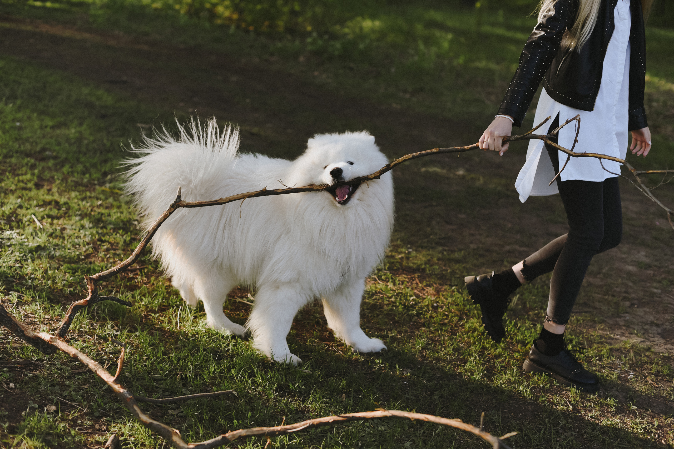 Антоша, Катюша, Платоша и Саша. Свадебный и семейный фотограф Волгоград Москва