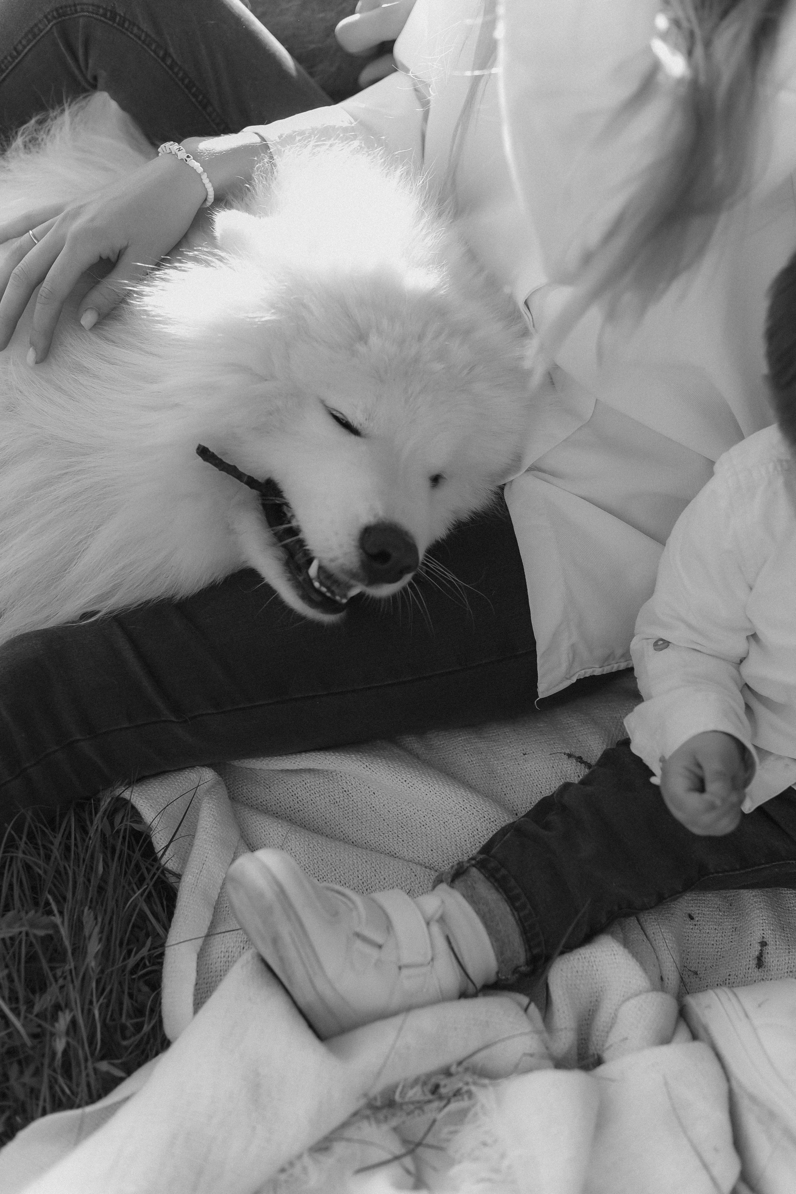 Антоша, Катюша, Платоша и Саша. Свадебный и семейный фотограф Волгоград Москва