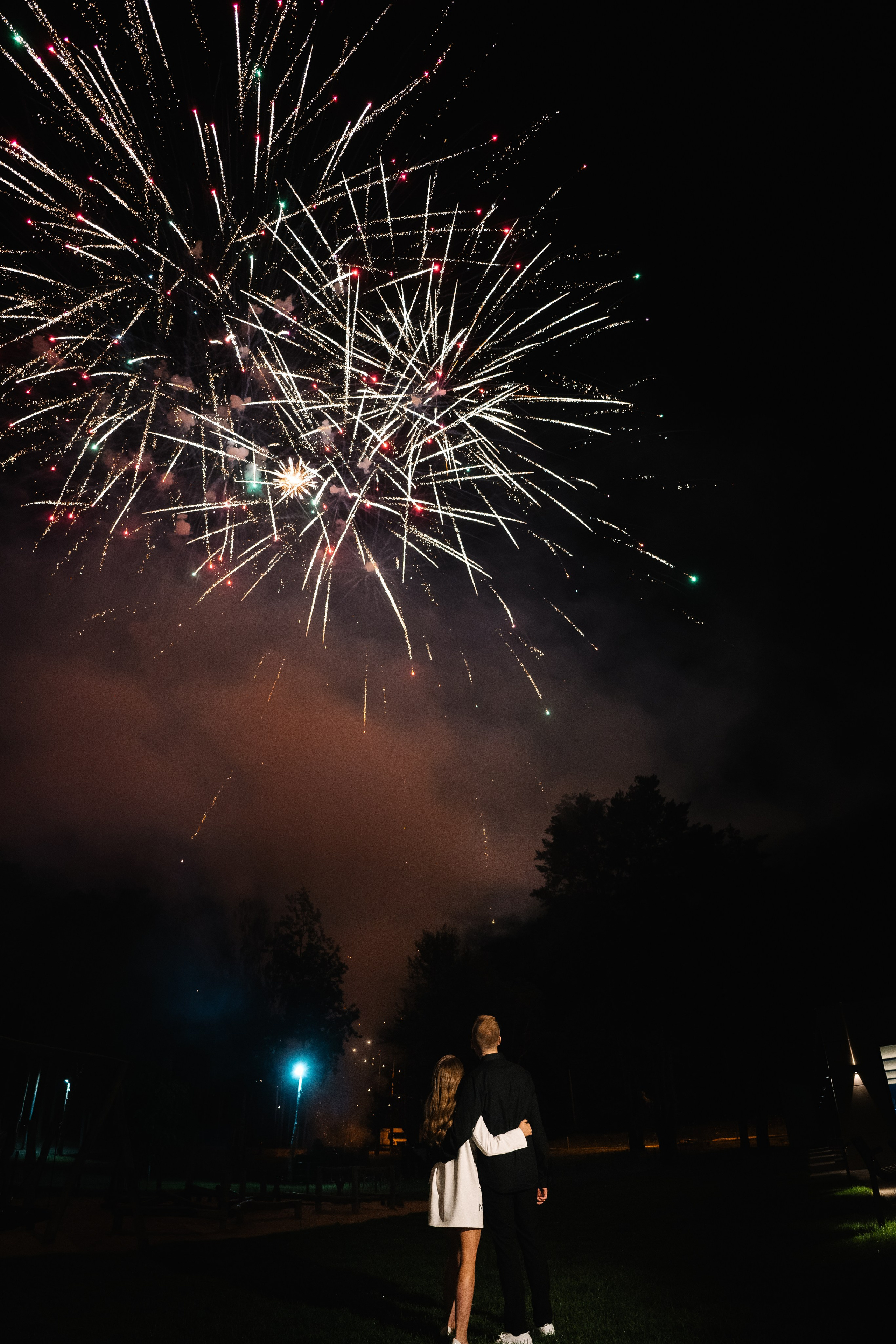 Алена и Владимир. Дмитрий Зайцев свадебный фотограф Тамбов