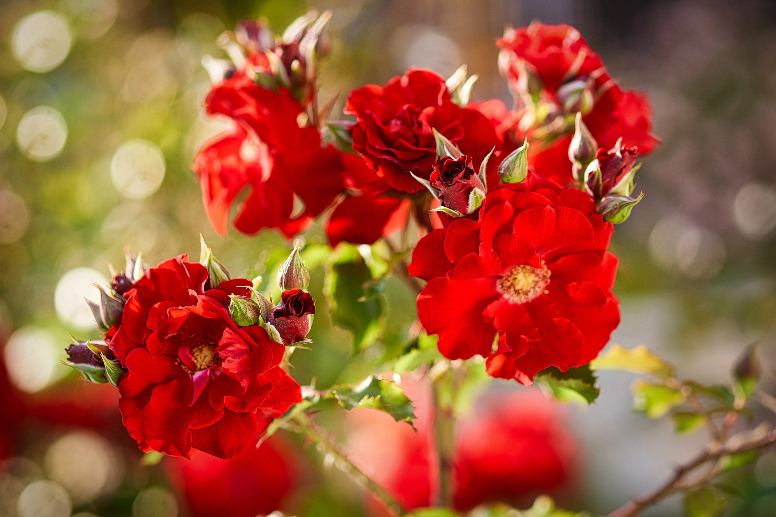 Наша мать — природа. Фотограф Владимир Артамонов