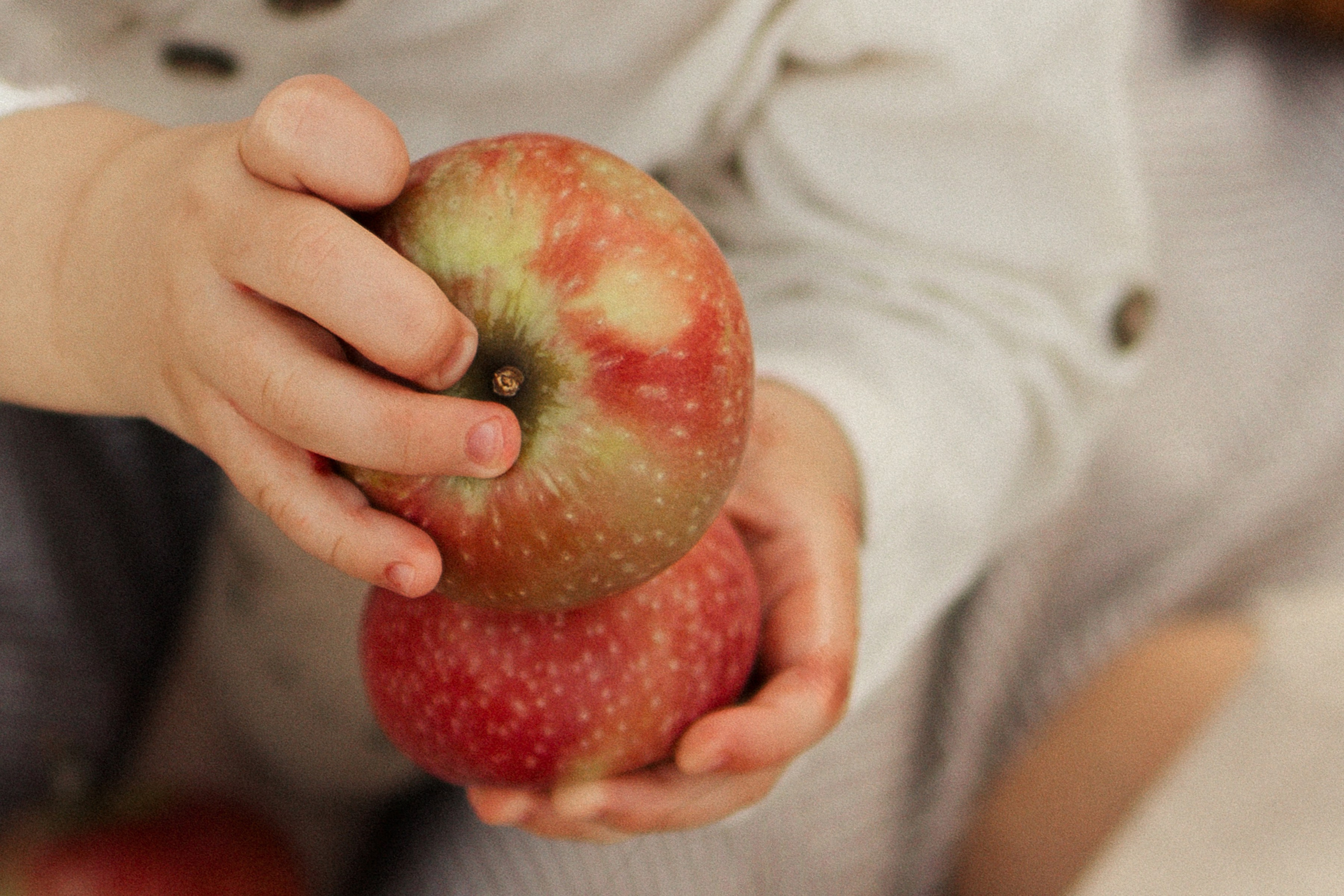 Первый день рождения. Фотограф в Выборге и Санкт-Петербурге Маша Гуляева